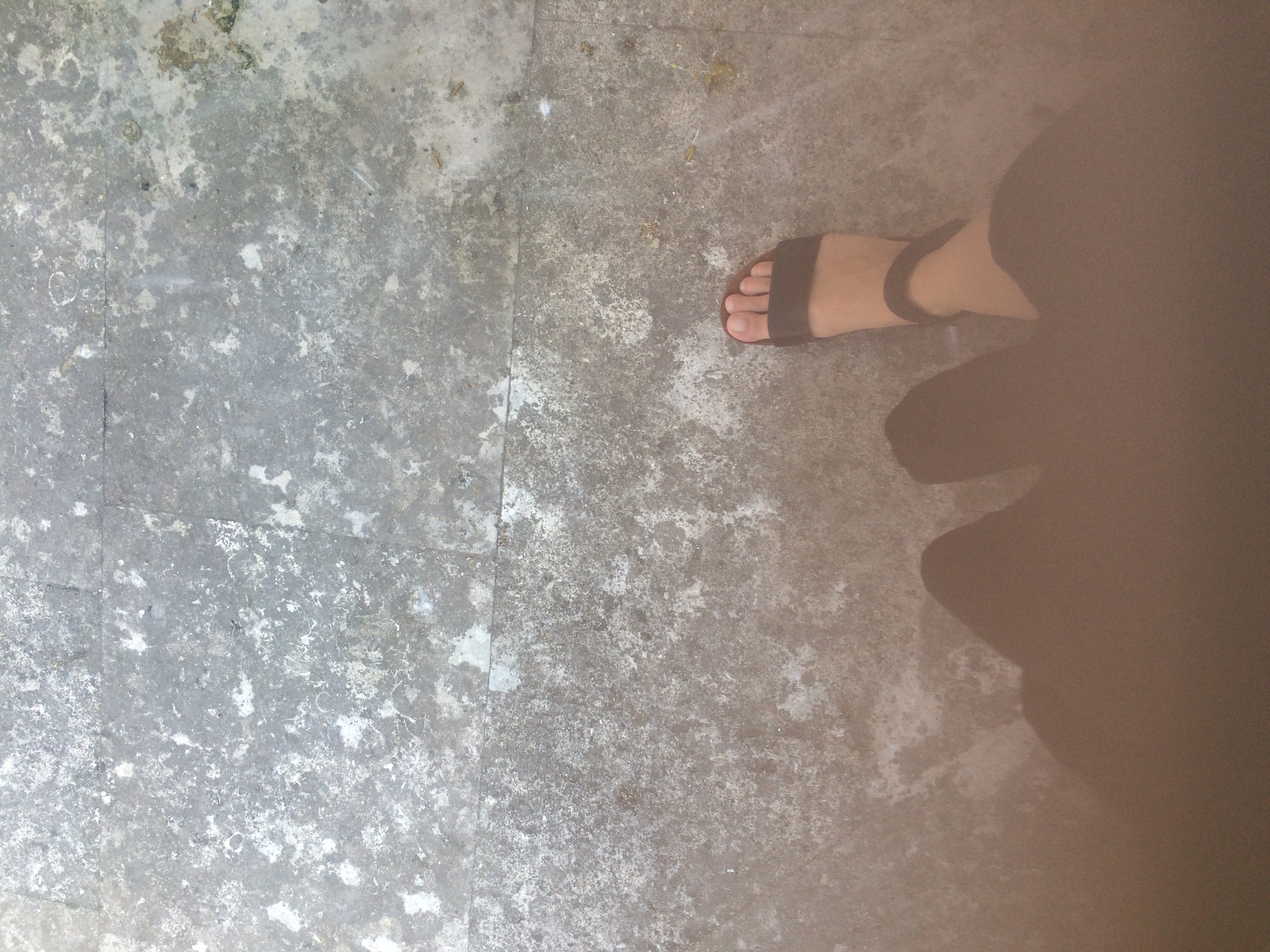 and-Le pied de Van Gogh