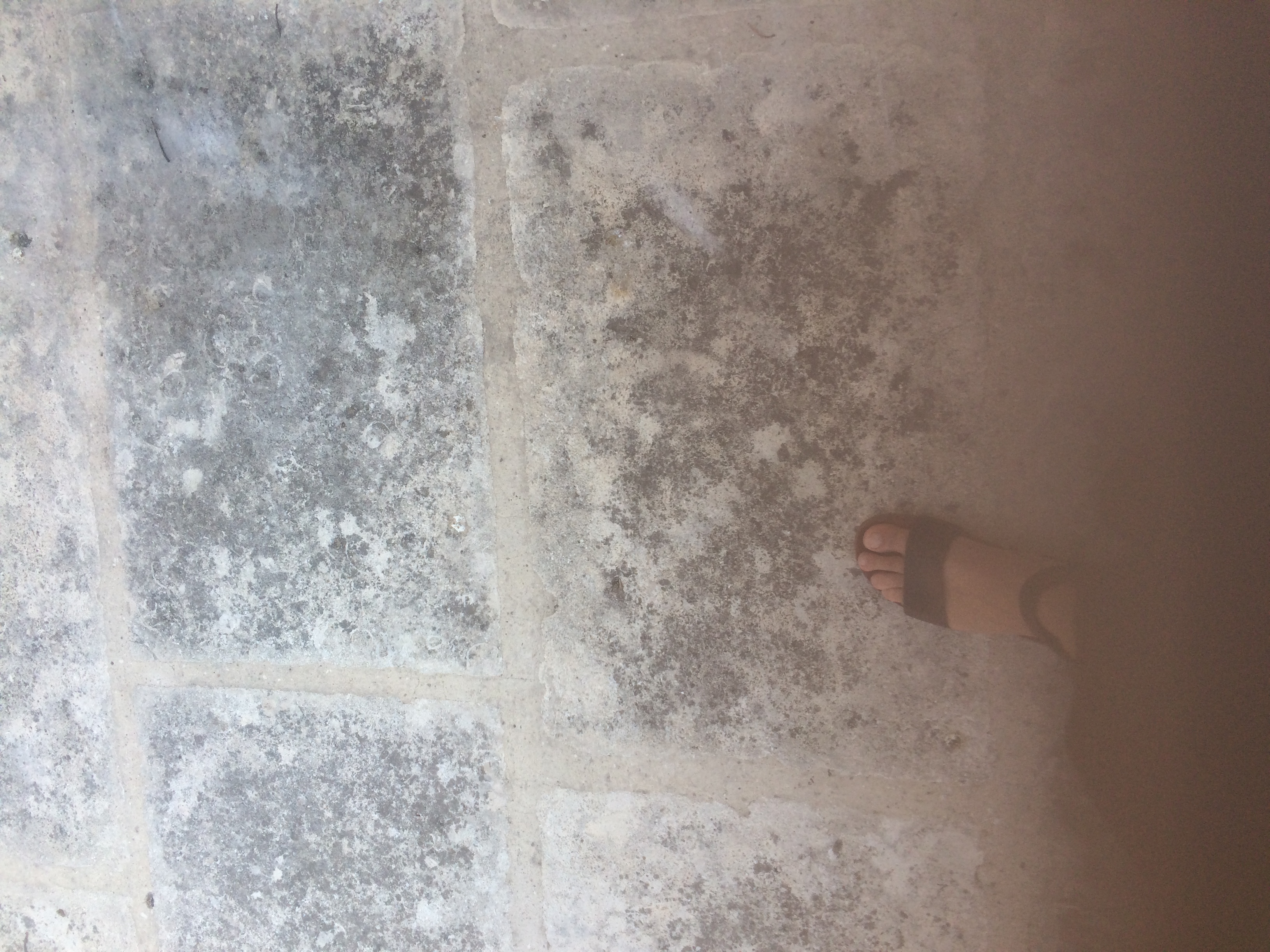 and-Le pied de Van Gogh