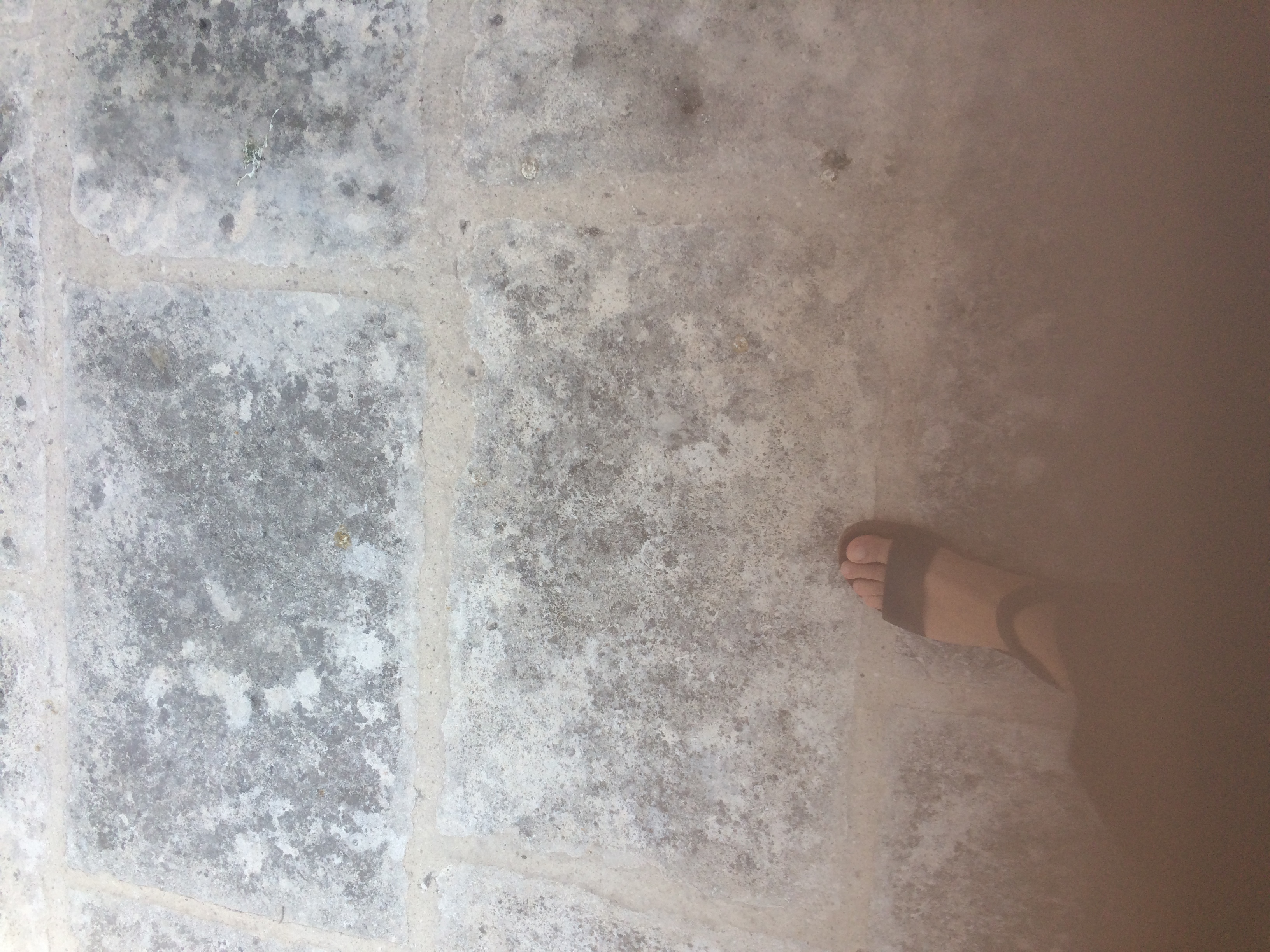 and-Le pied de Van Gogh