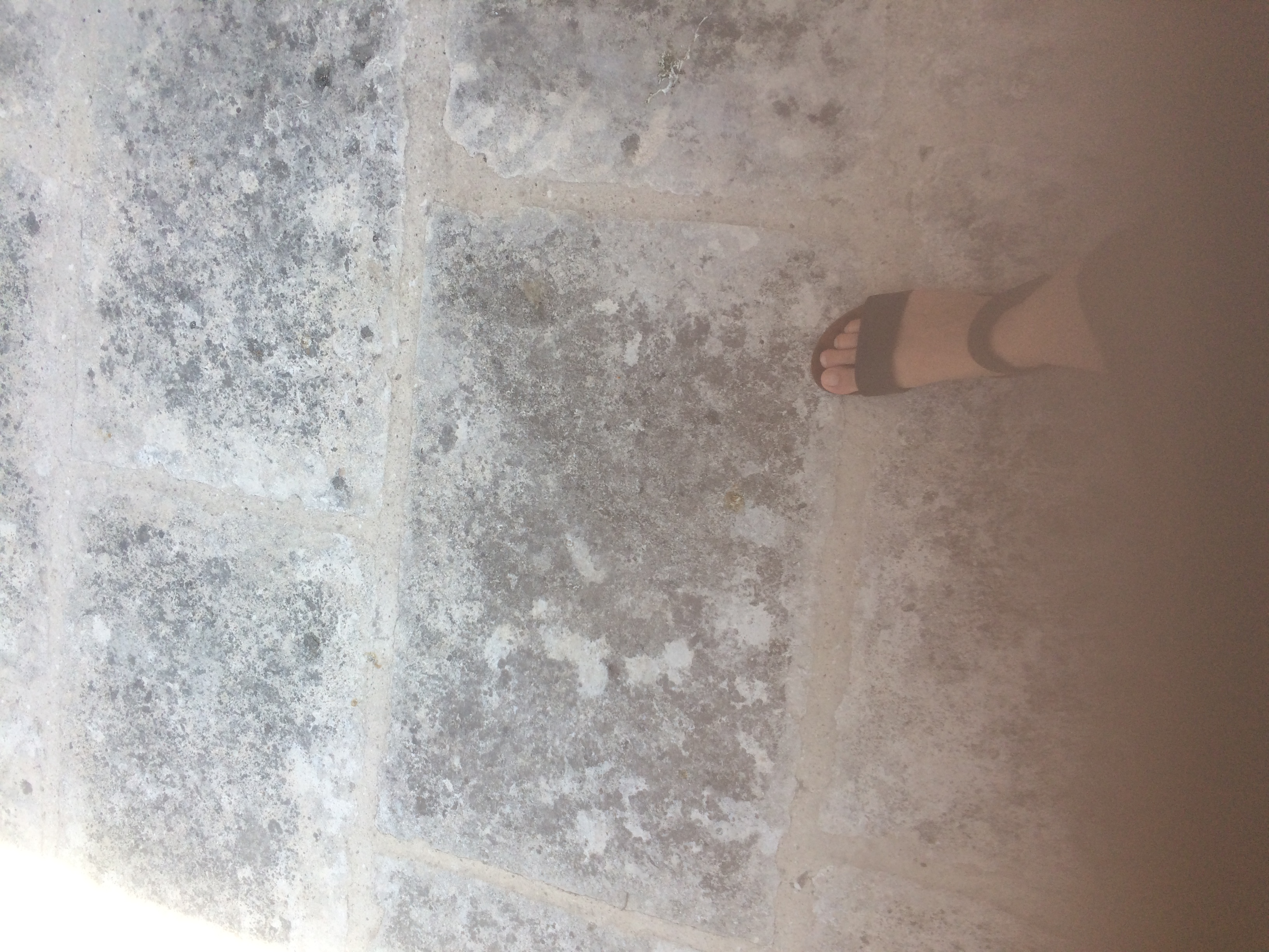 and-Le pied de Van Gogh