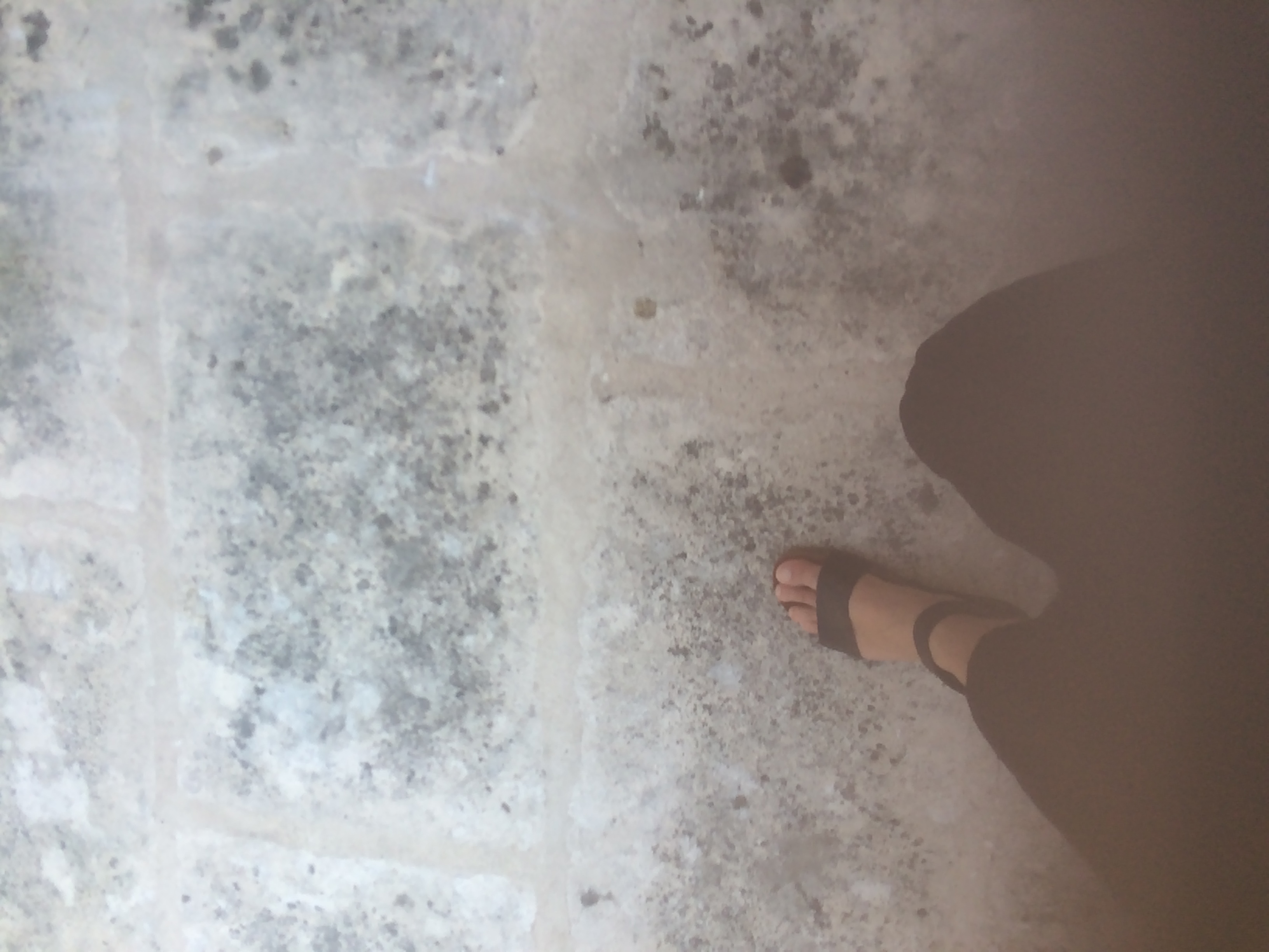 and-Le pied de Van Gogh