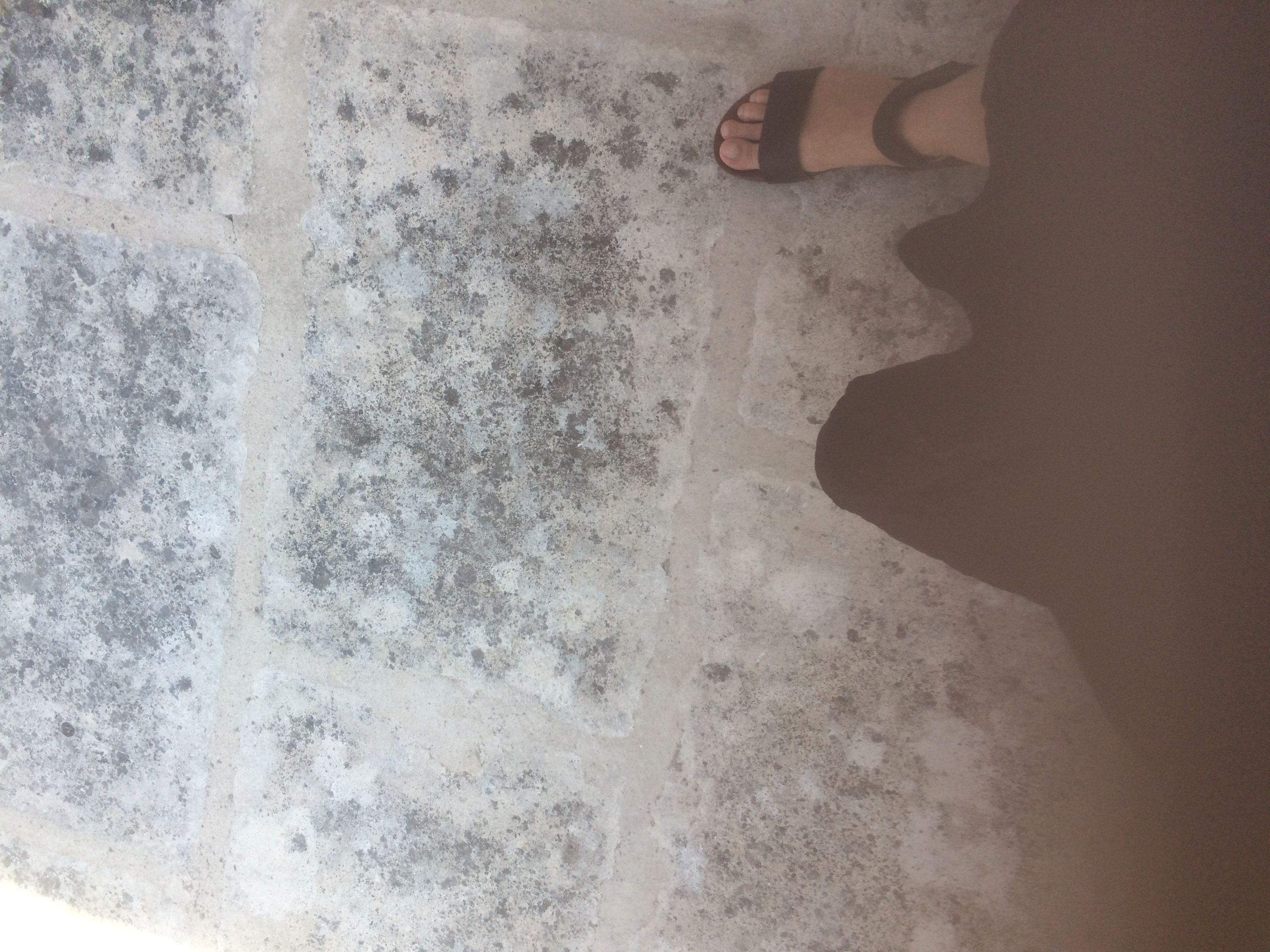 and-Le pied de Van Gogh