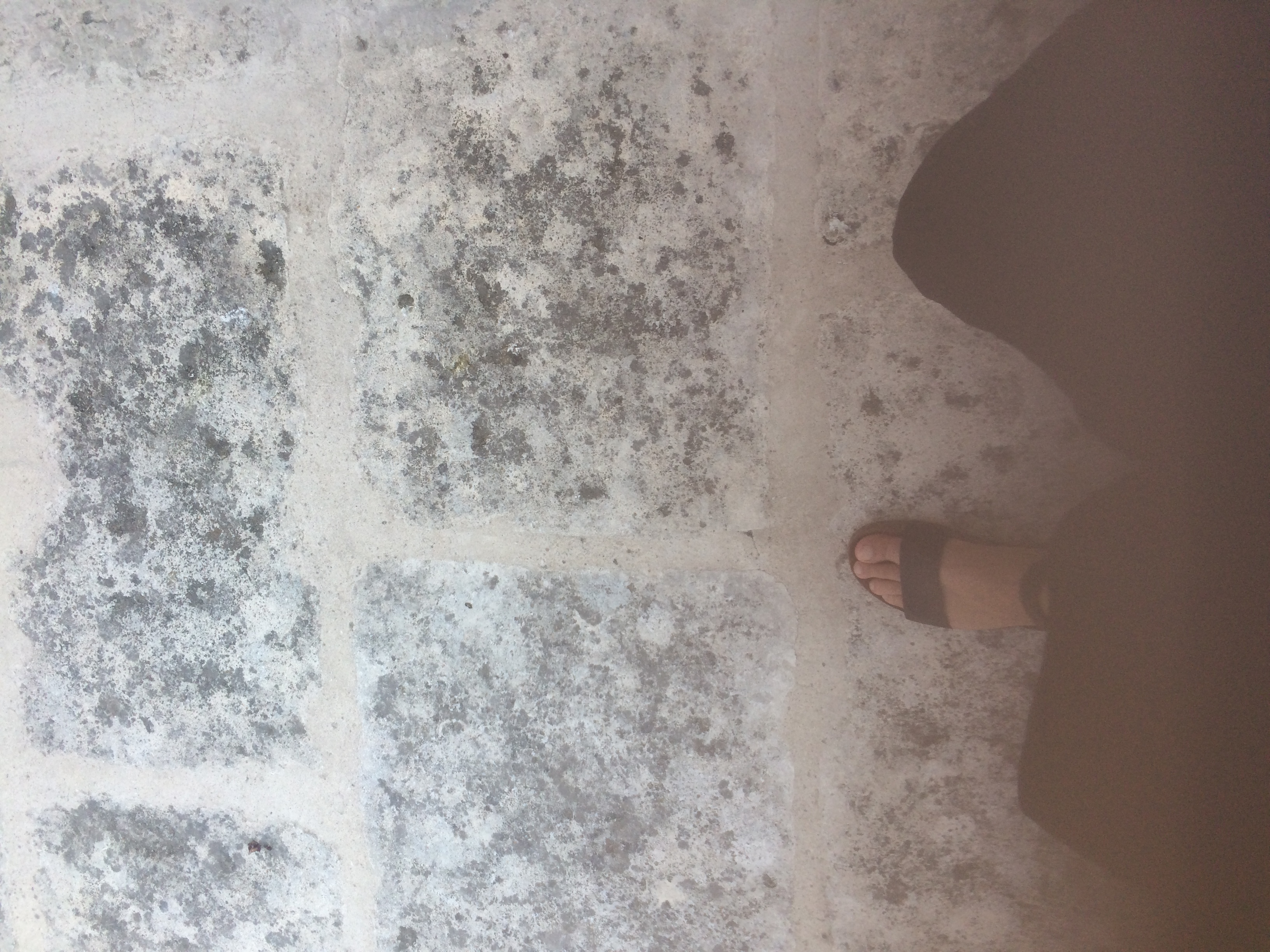 and-Le pied de Van Gogh