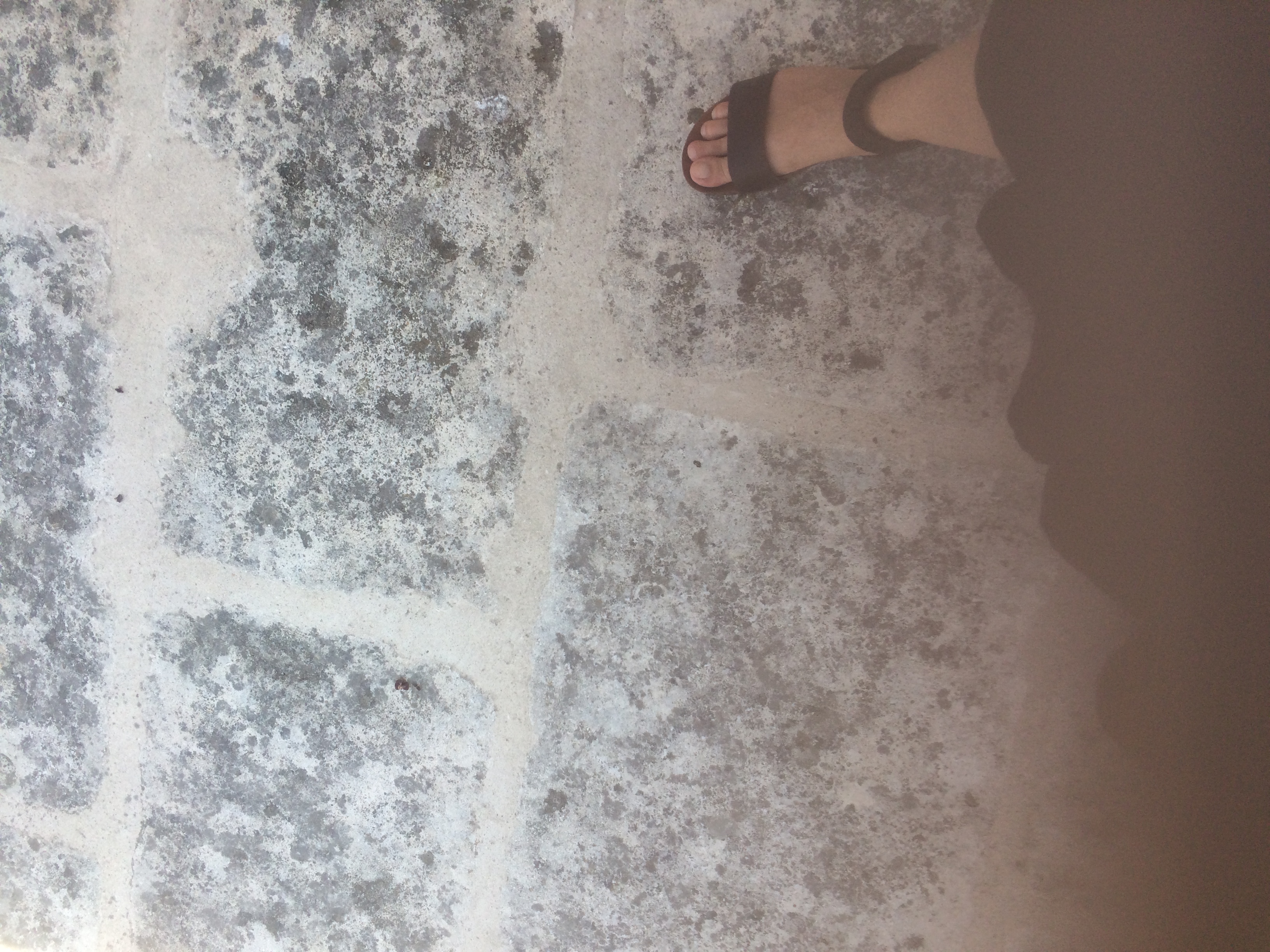 and-Le pied de Van Gogh