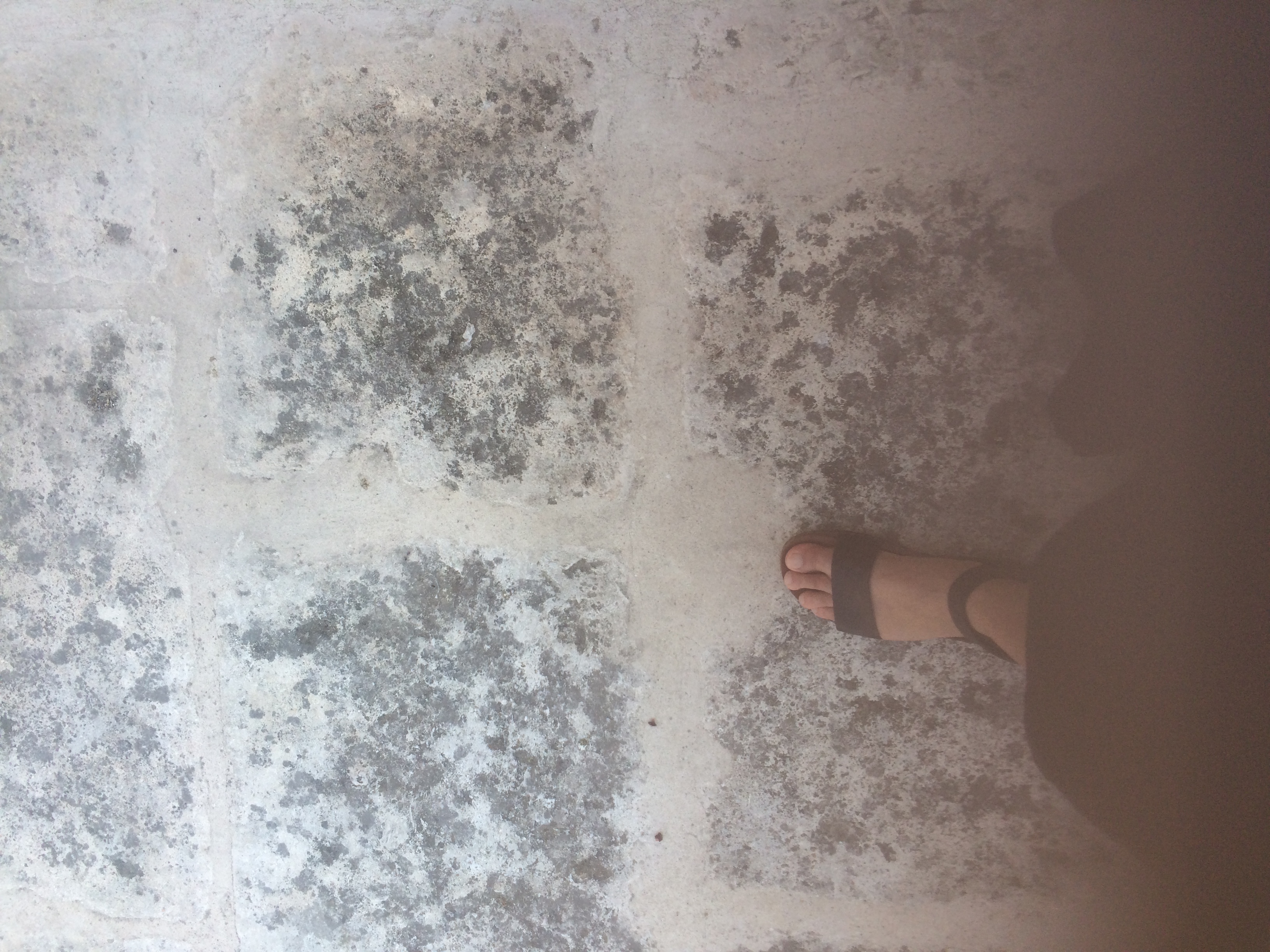 and-Le pied de Van Gogh