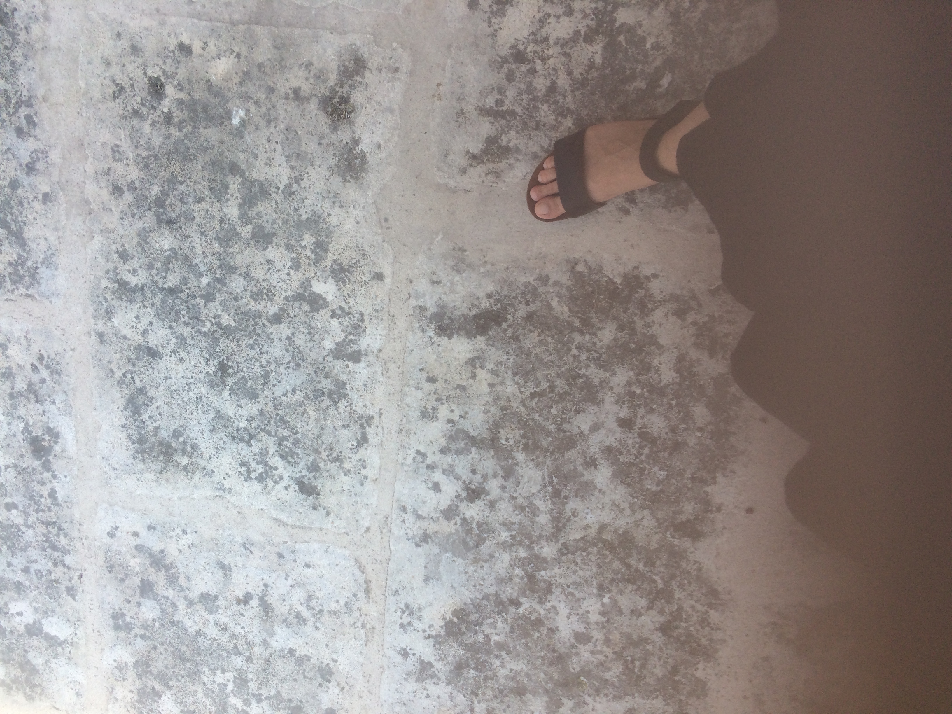 and-Le pied de Van Gogh