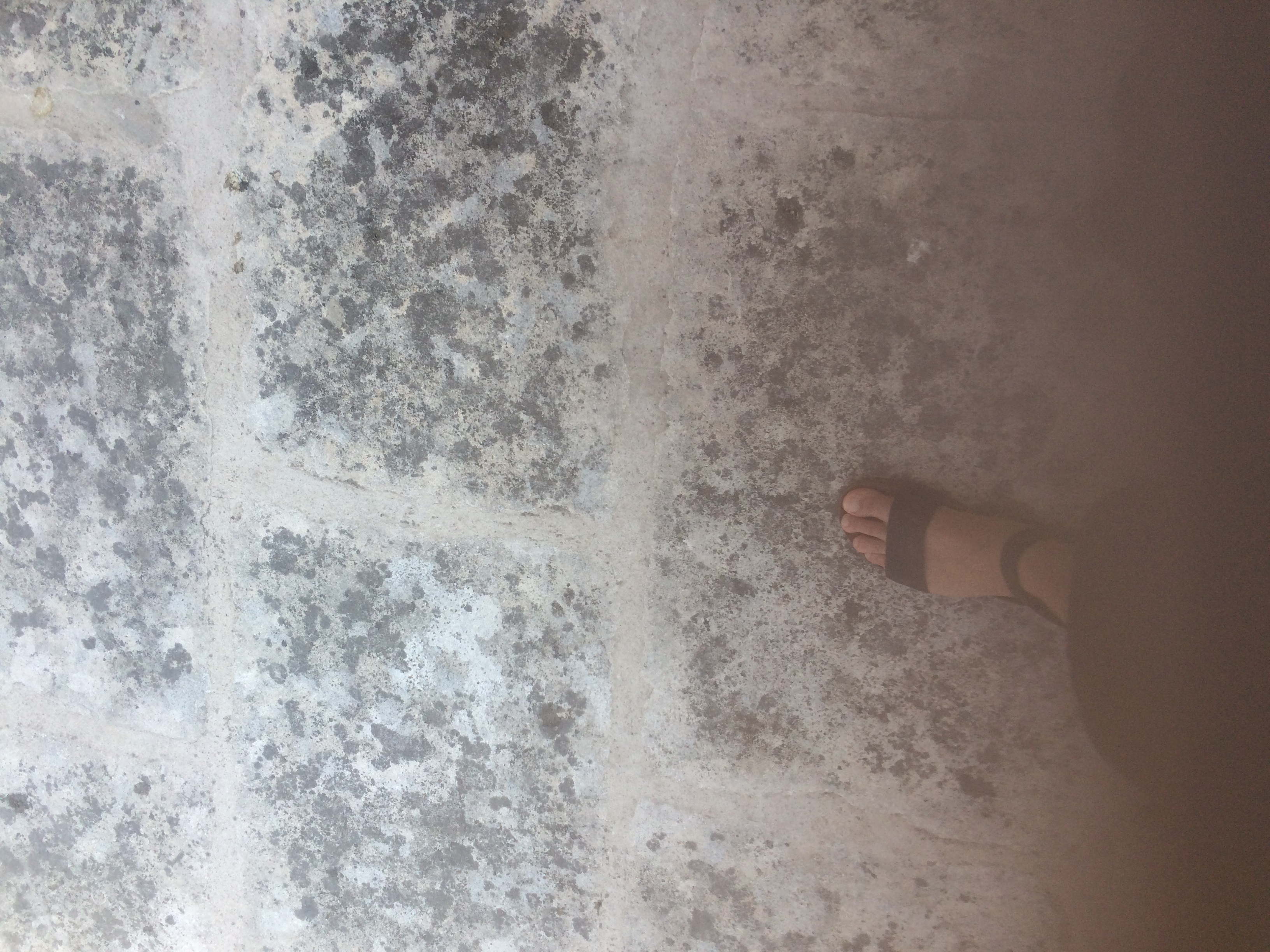 and-Le pied de Van Gogh