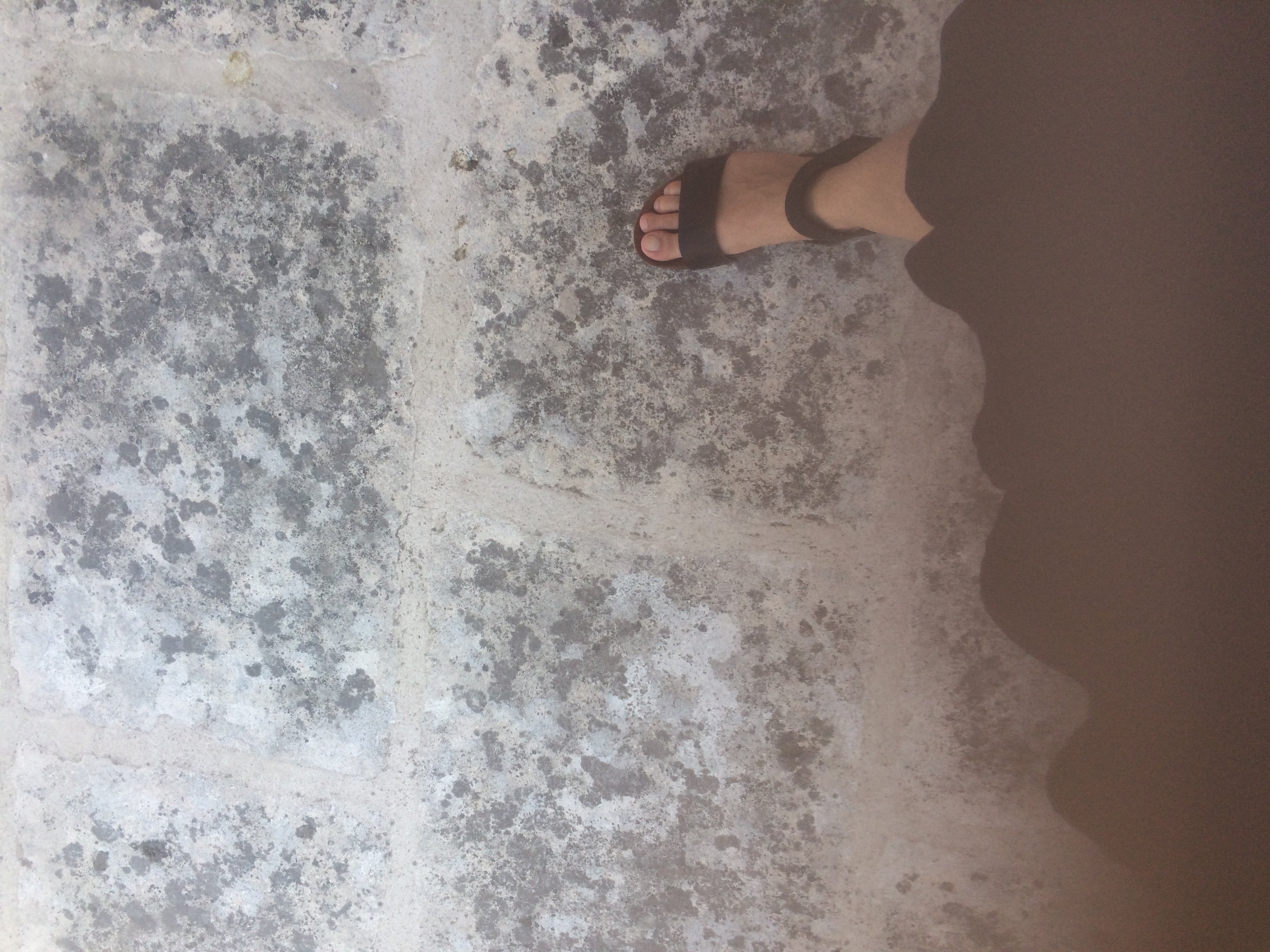 and-Le pied de Van Gogh