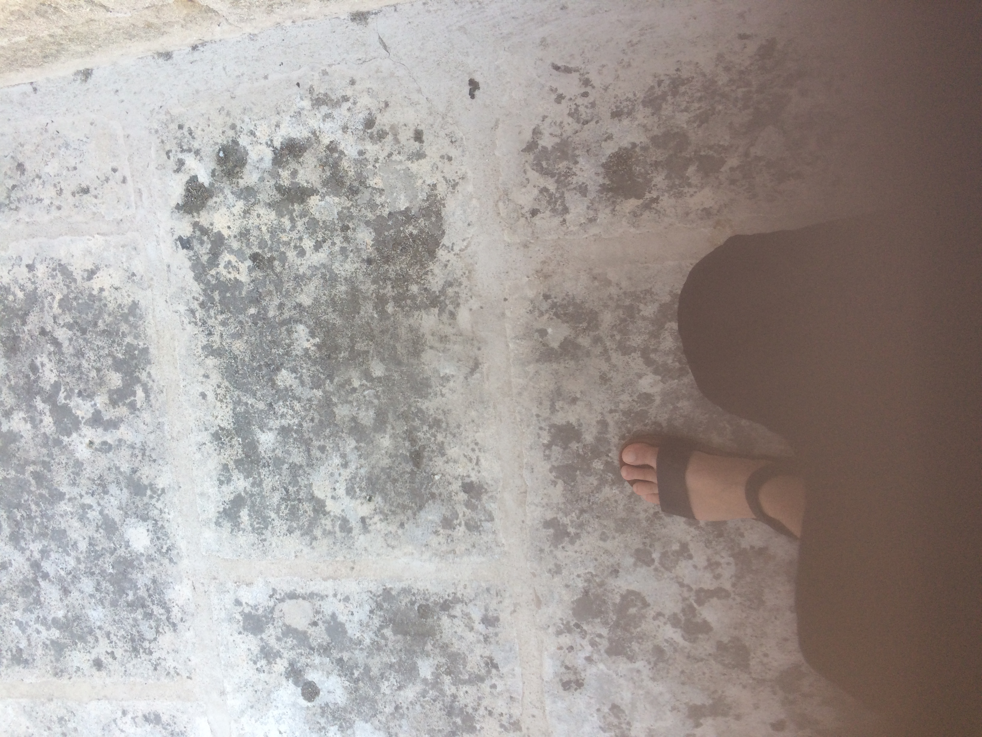 and-Le pied de Van Gogh