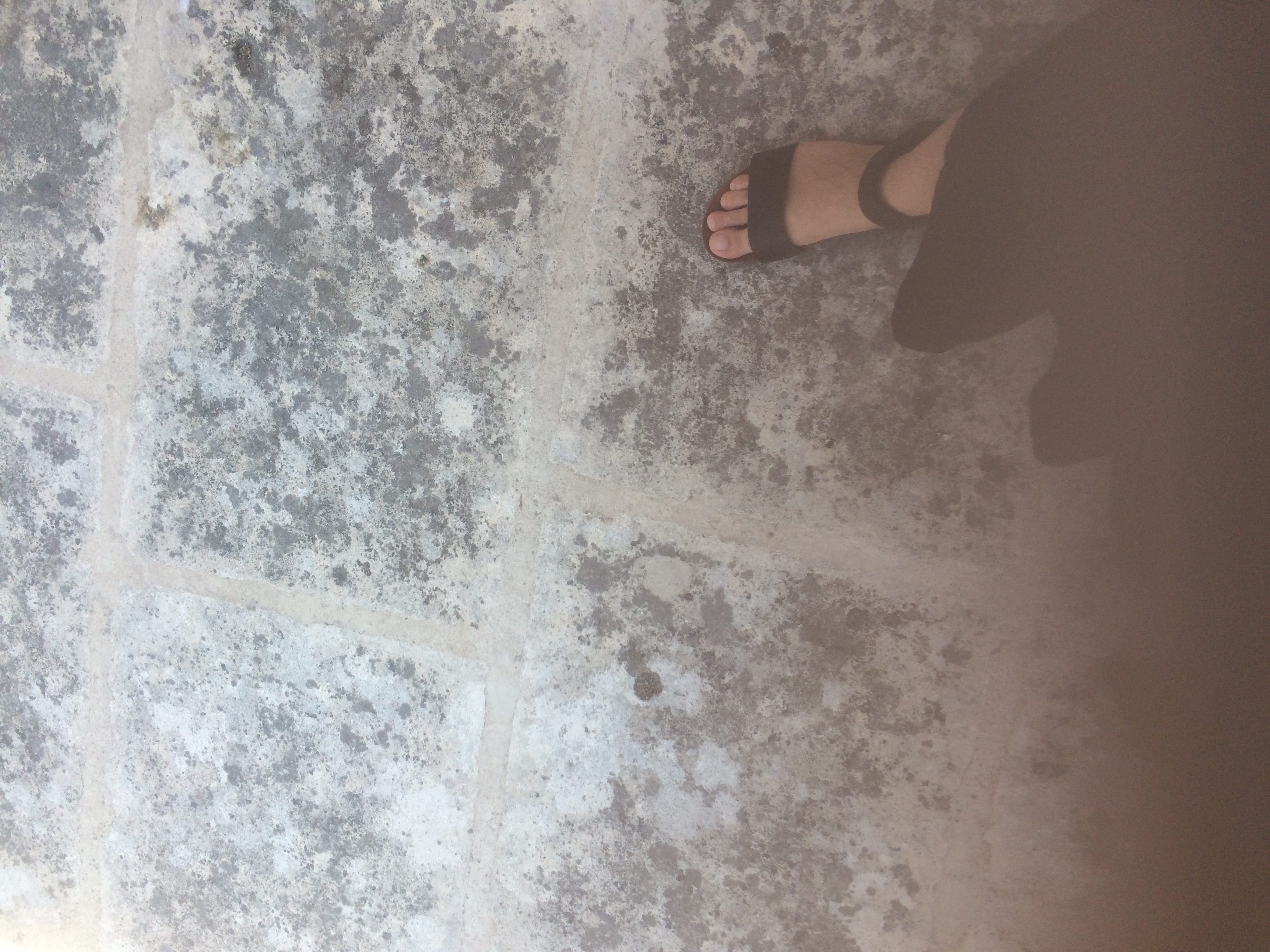 and-Le pied de Van Gogh