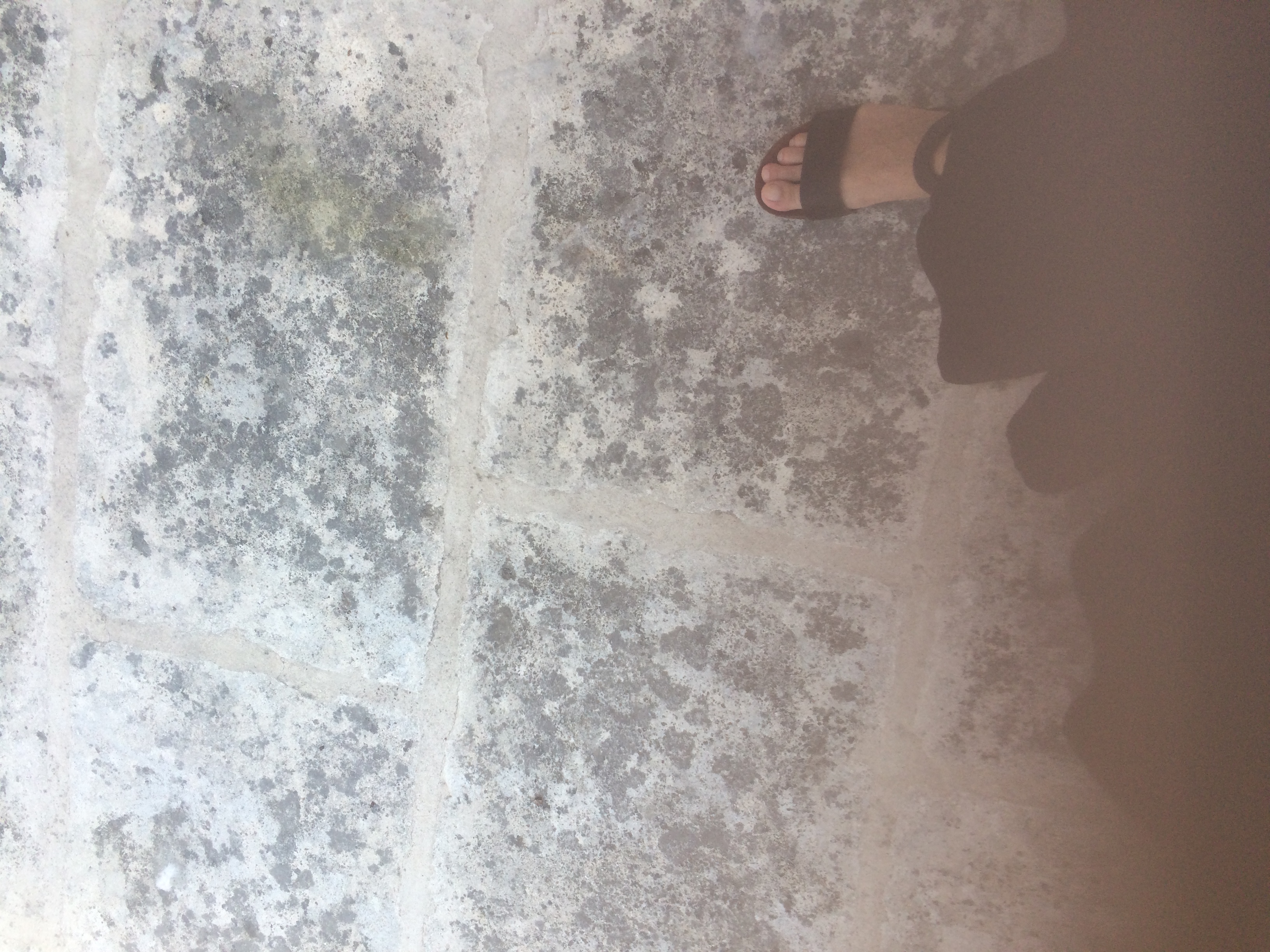 and-Le pied de Van Gogh