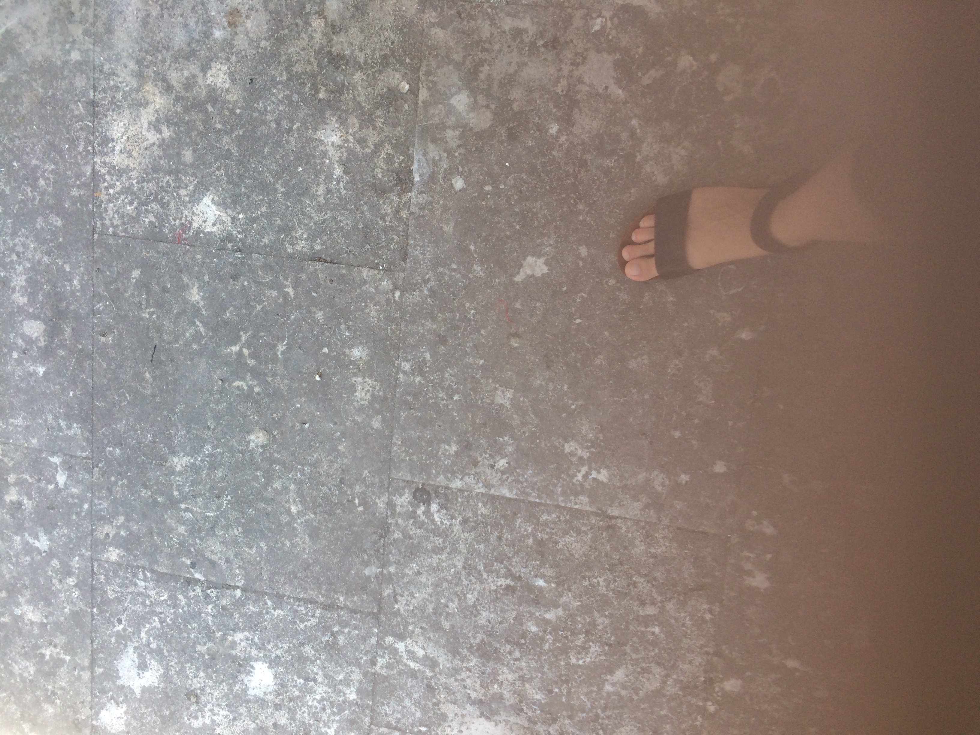 and-Le pied de Van Gogh