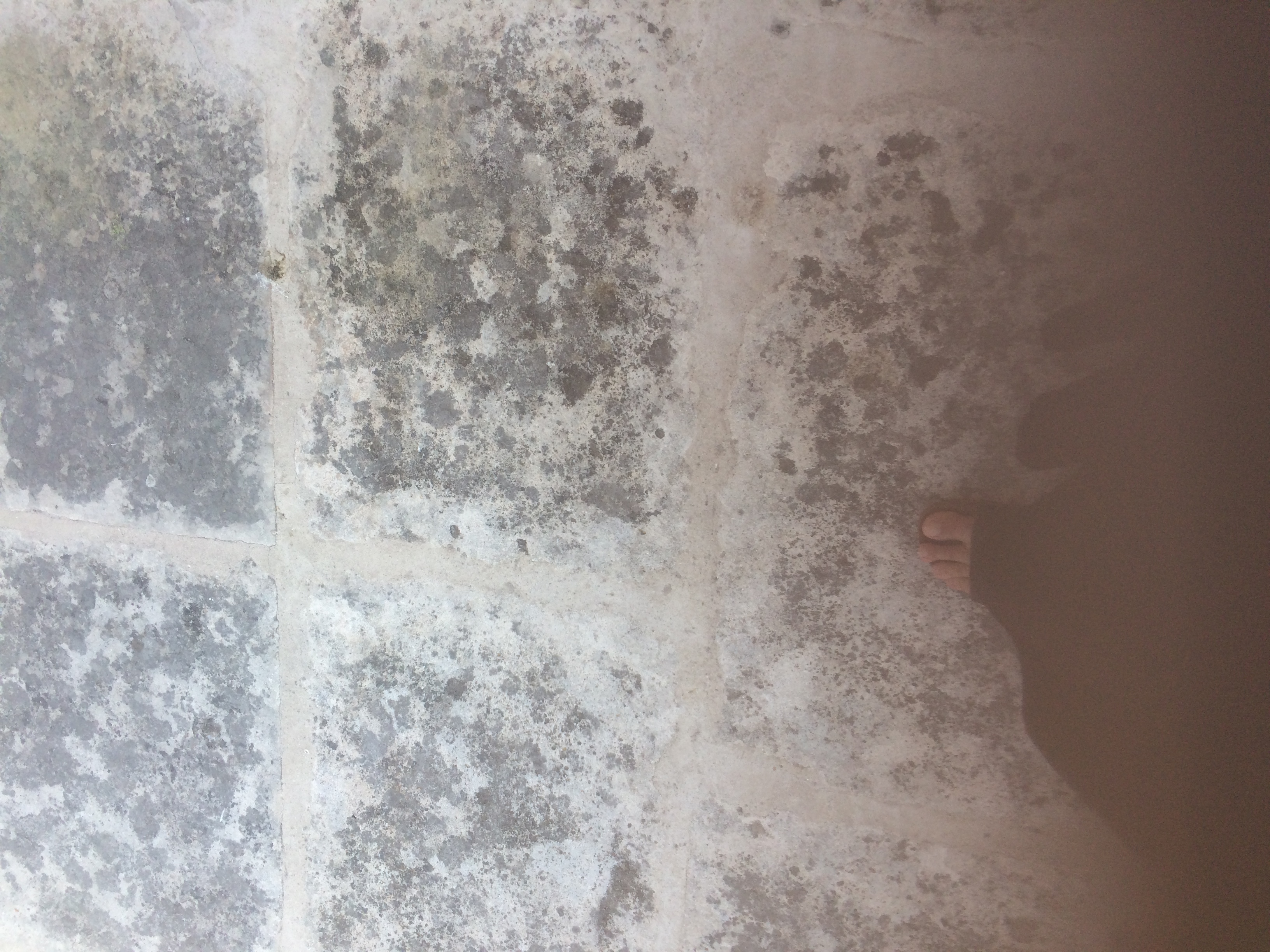 and-Le pied de Van Gogh