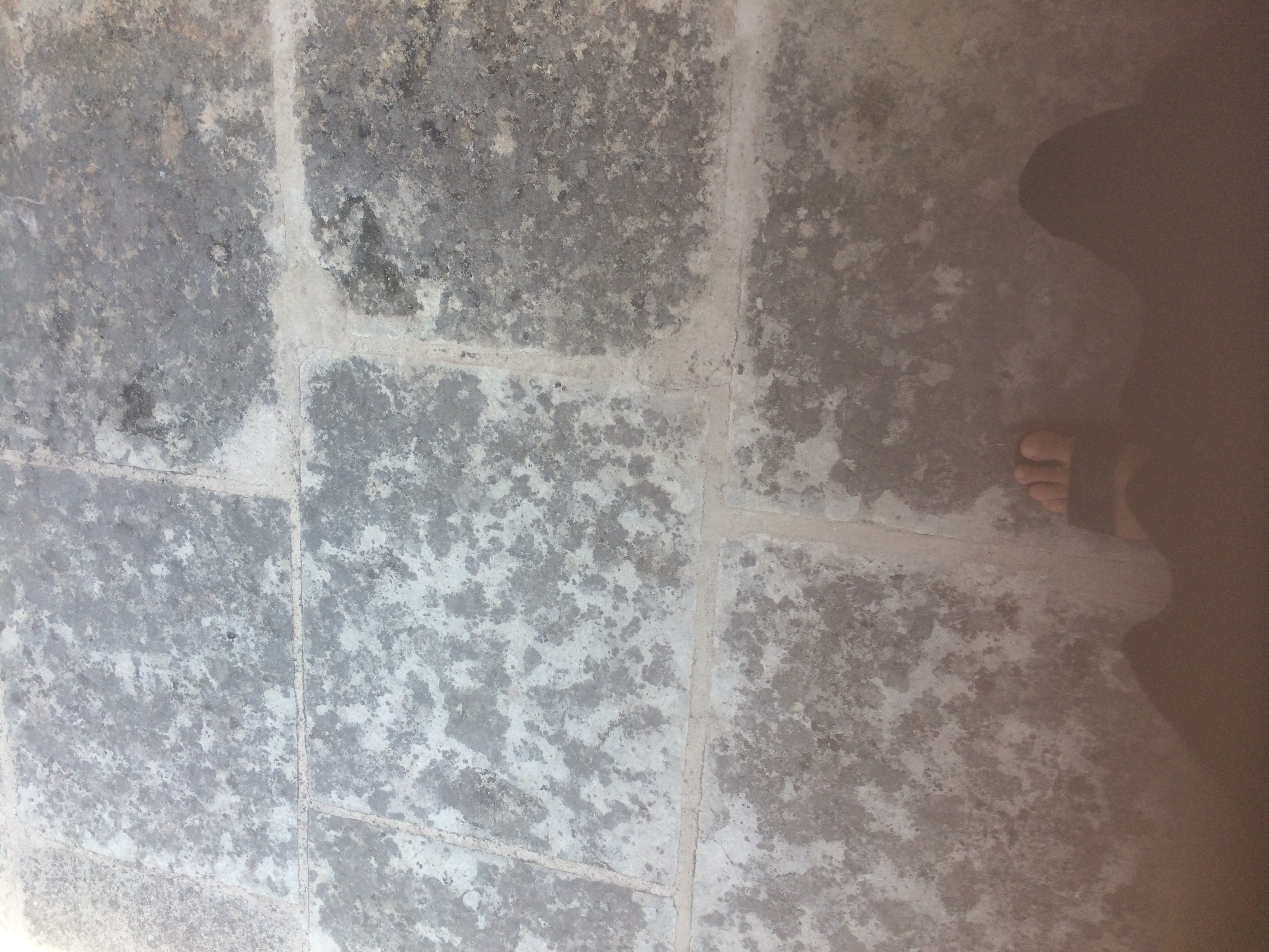 and-Le pied de Van Gogh