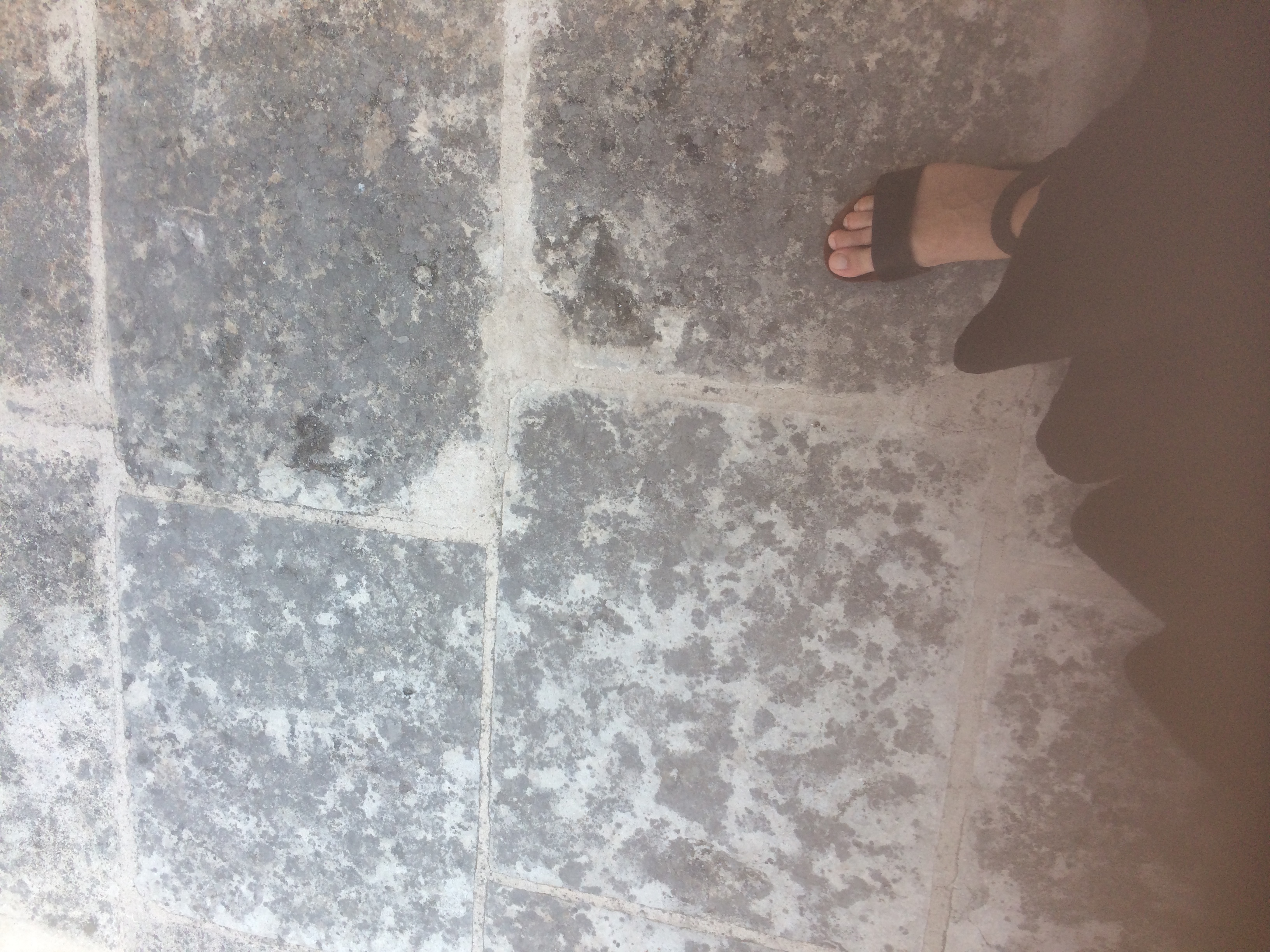 and-Le pied de Van Gogh