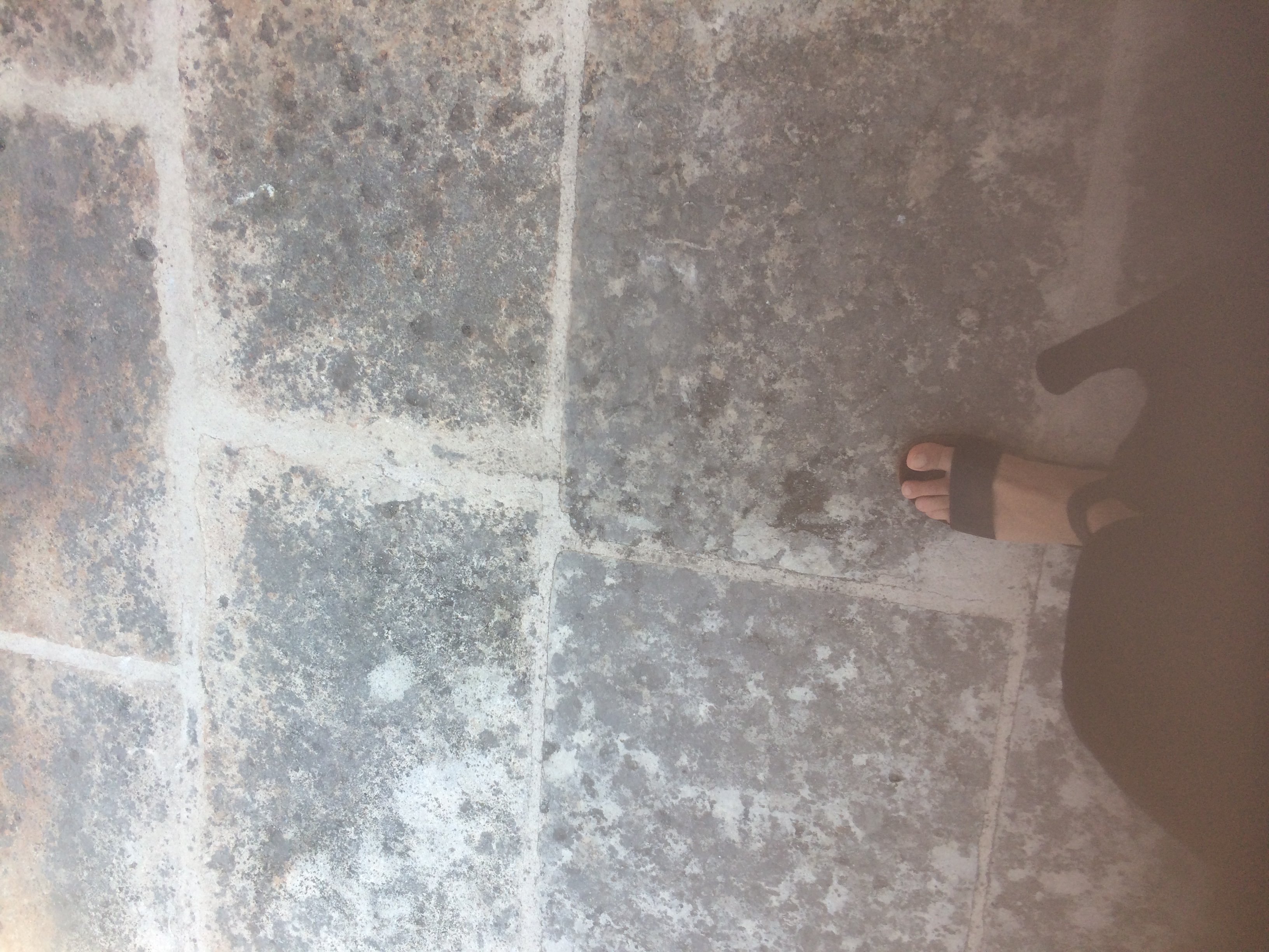 and-Le pied de Van Gogh