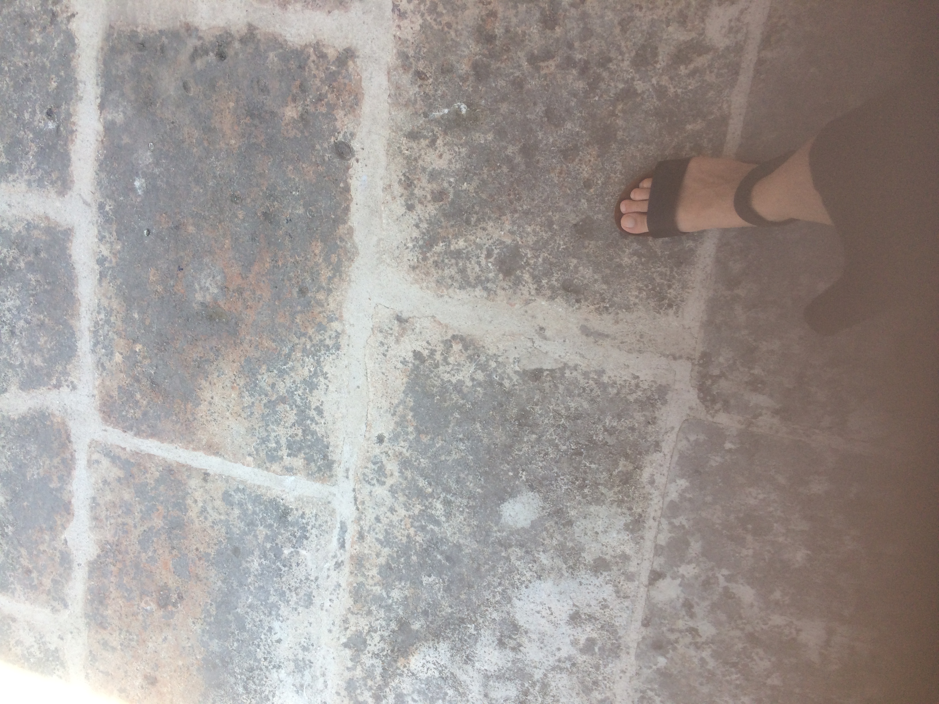 and-Le pied de Van Gogh