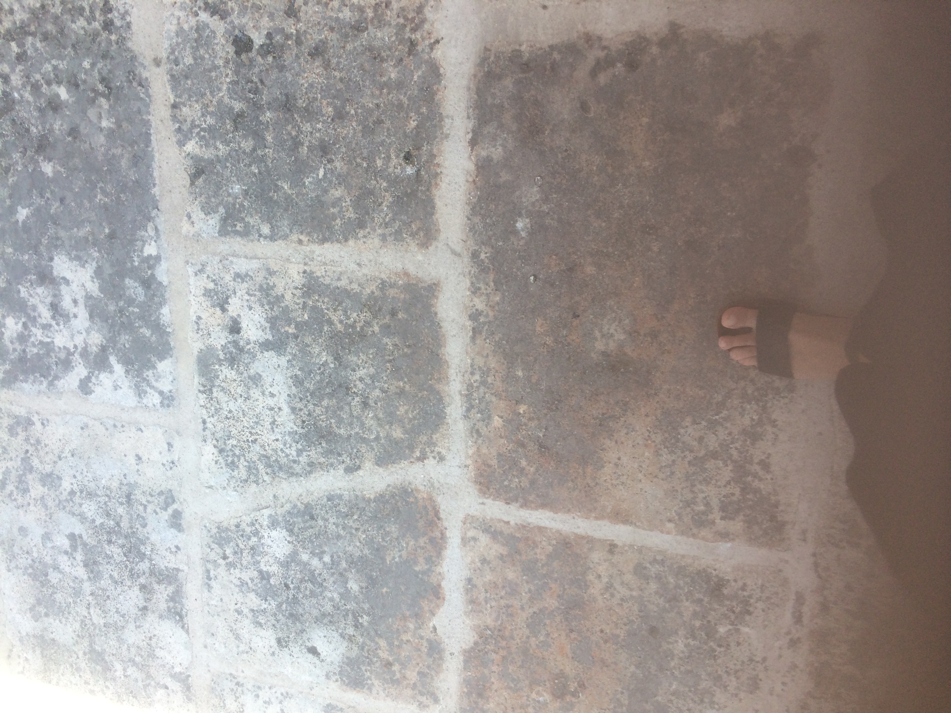 and-Le pied de Van Gogh