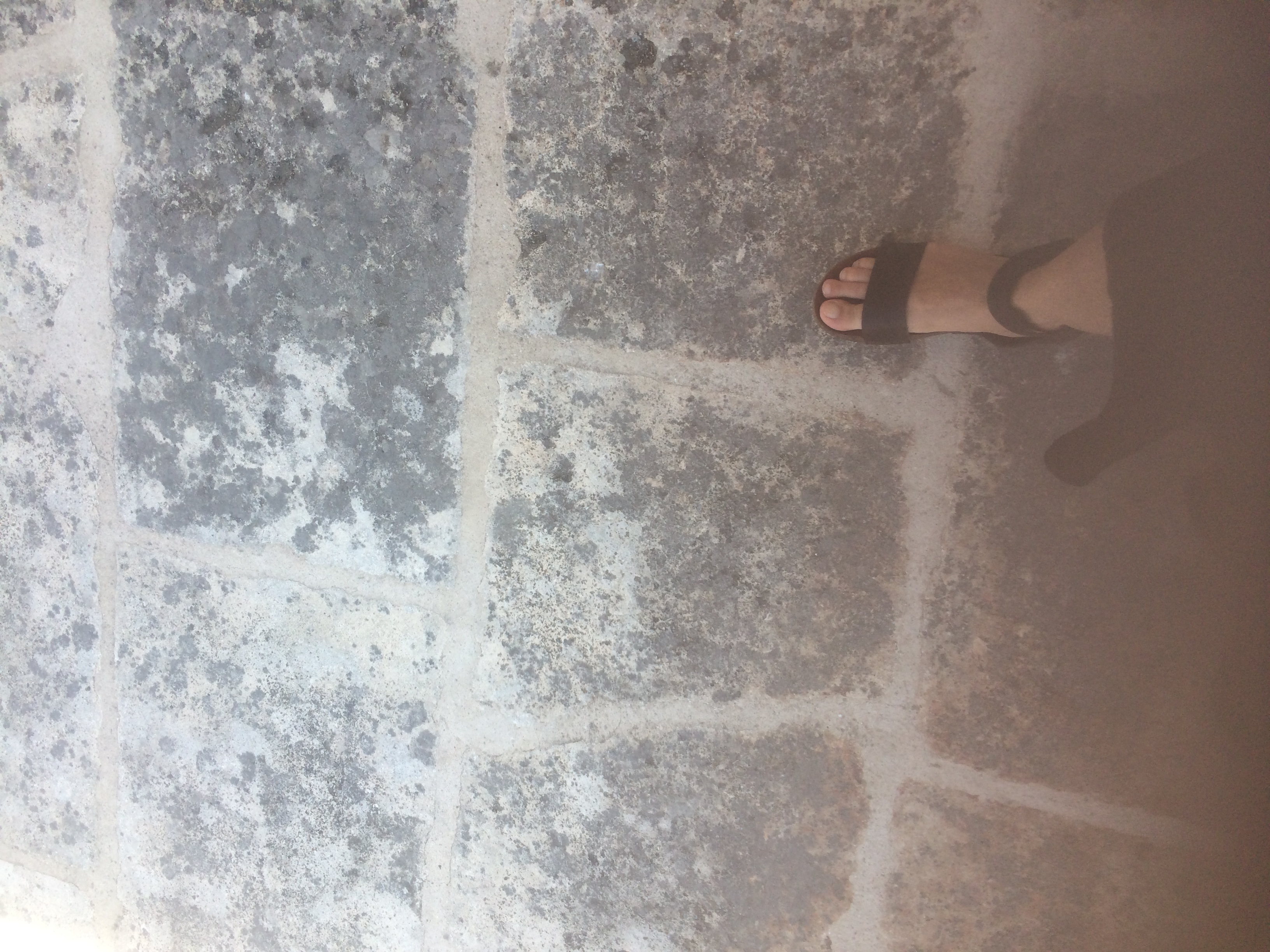 and-Le pied de Van Gogh