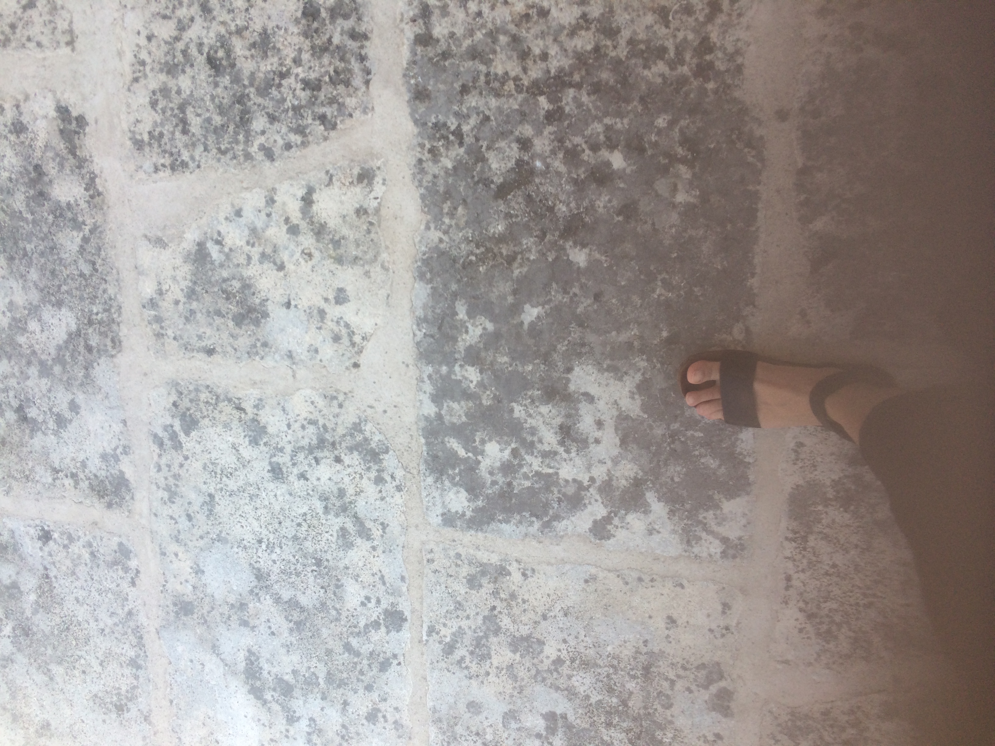 and-Le pied de Van Gogh