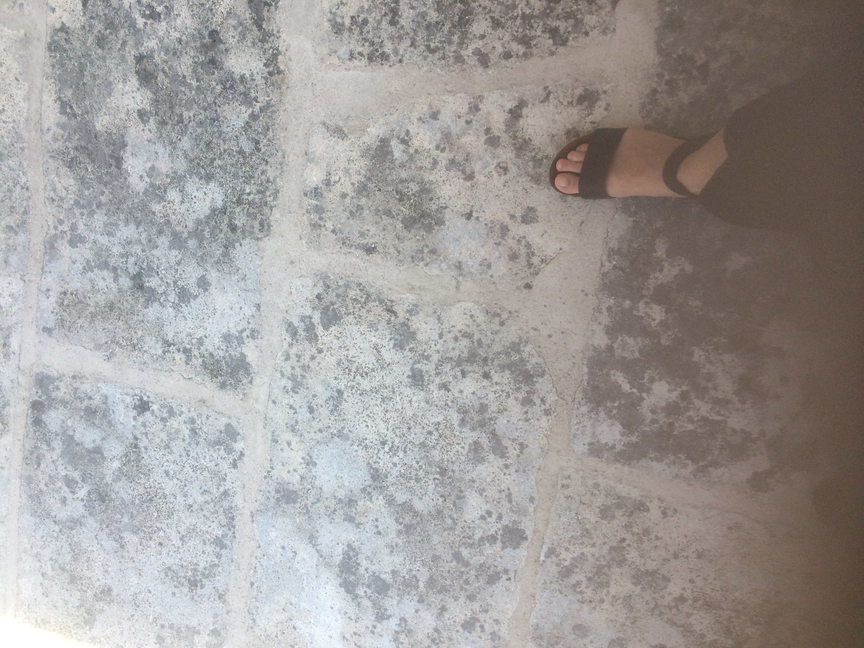 and-Le pied de Van Gogh