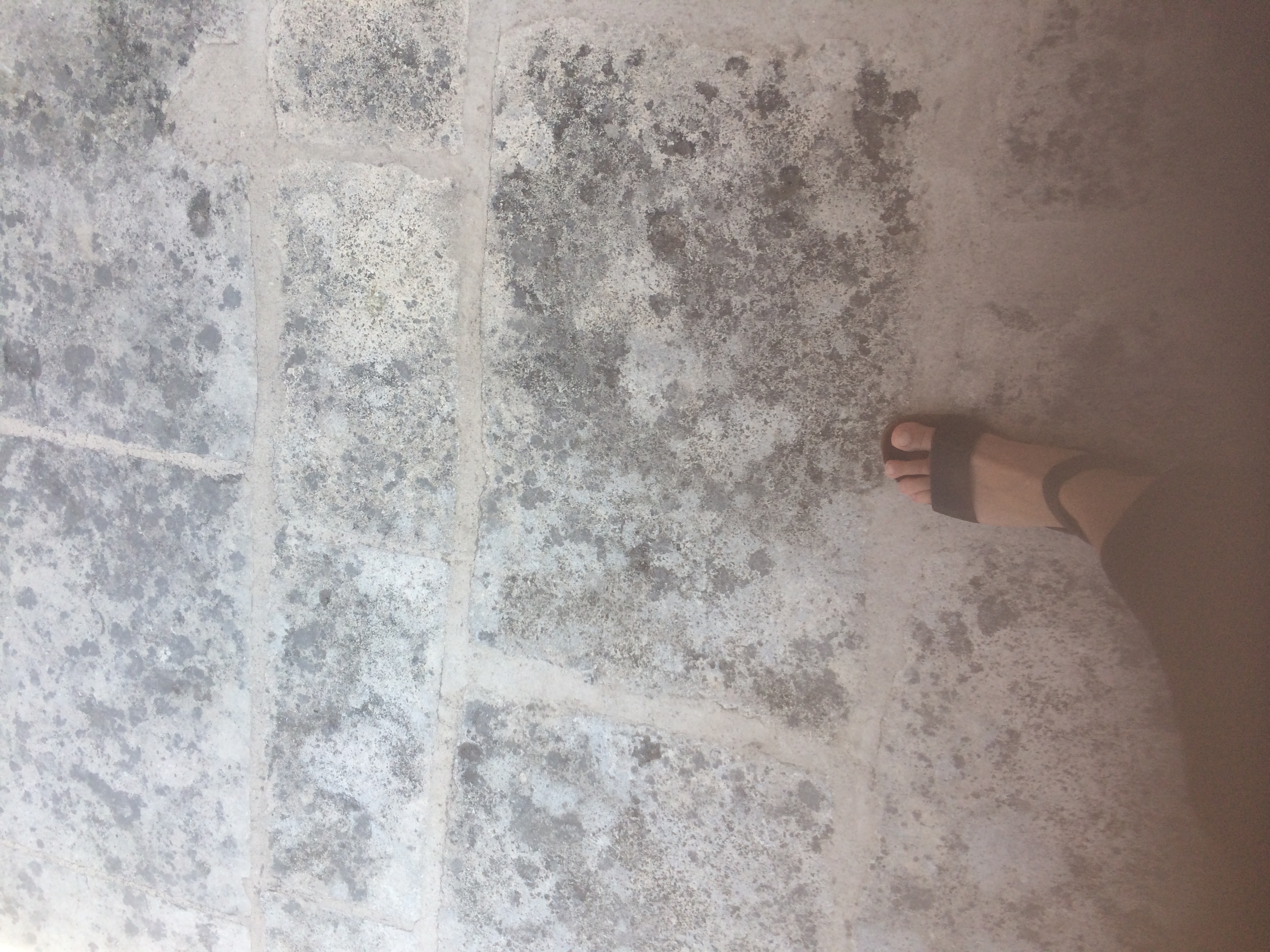 and-Le pied de Van Gogh