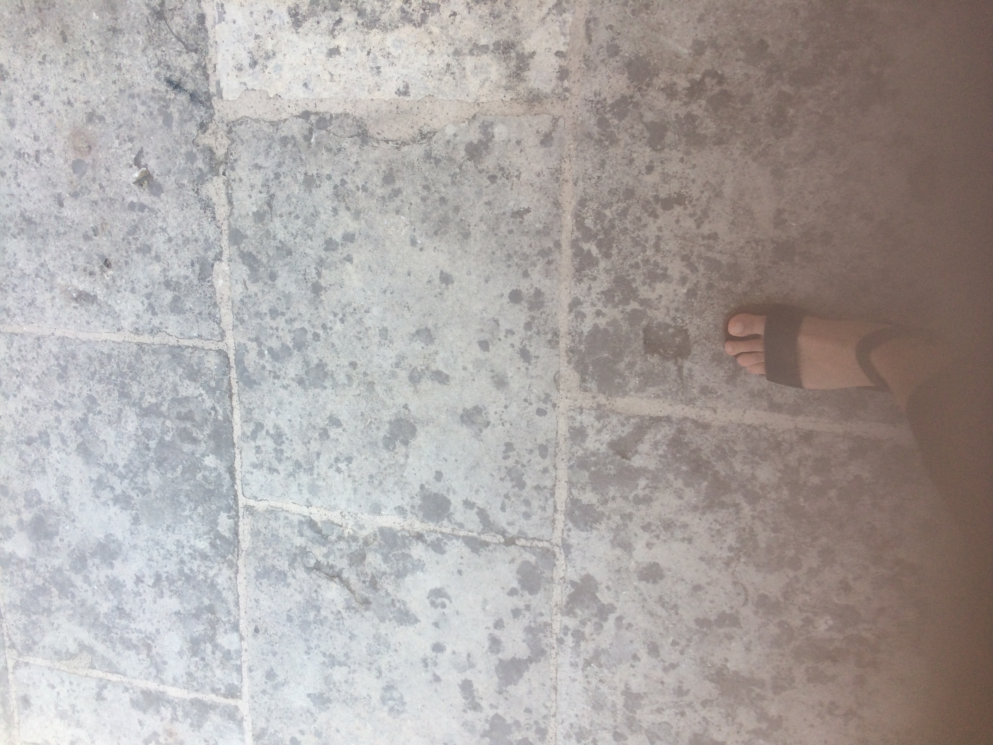 and-Le pied de Van Gogh