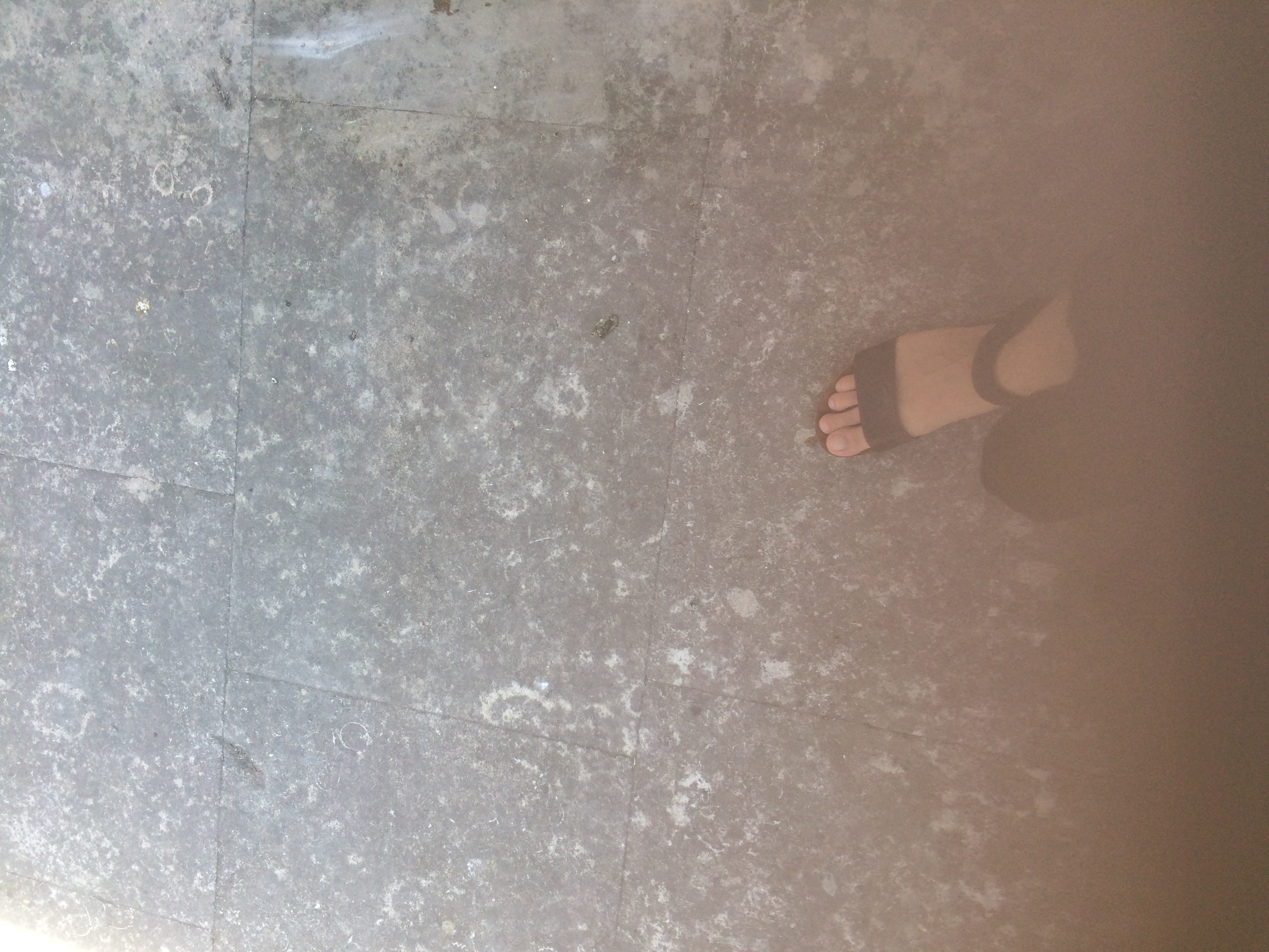 and-Le pied de Van Gogh