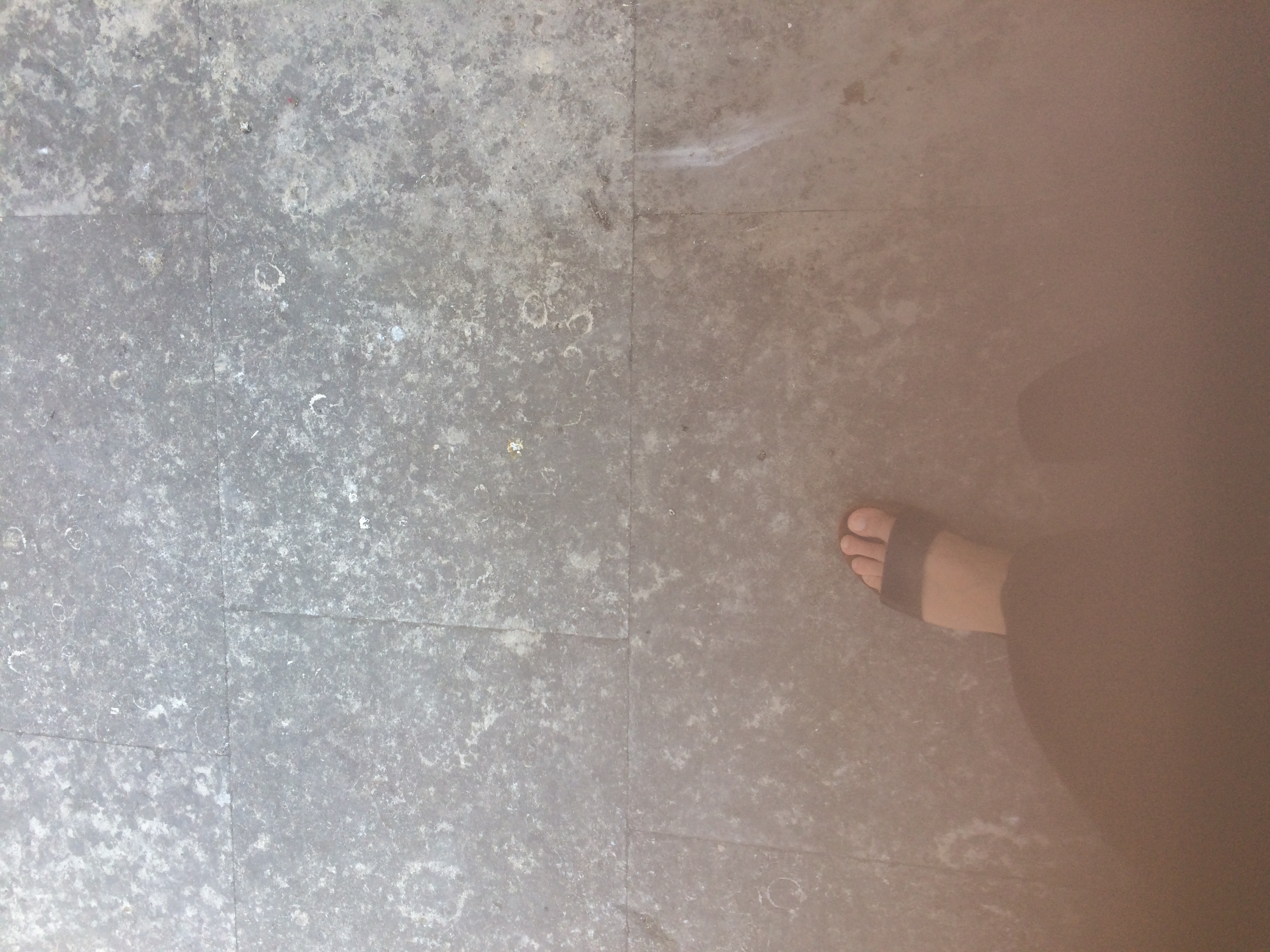 and-Le pied de Van Gogh