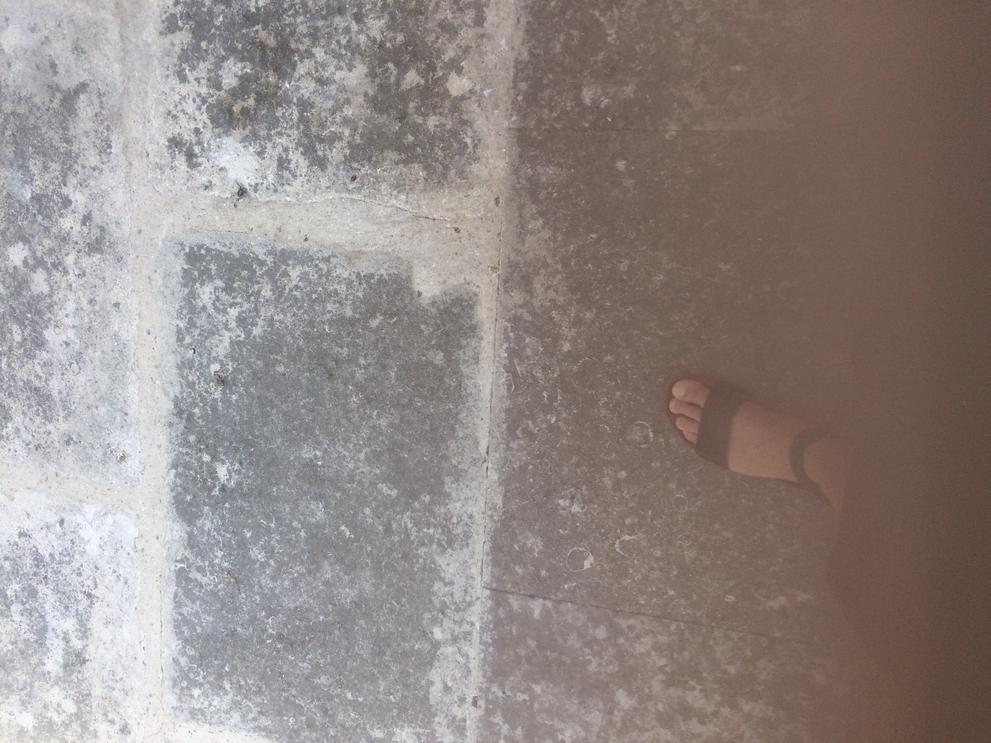 and-Le pied de Van Gogh