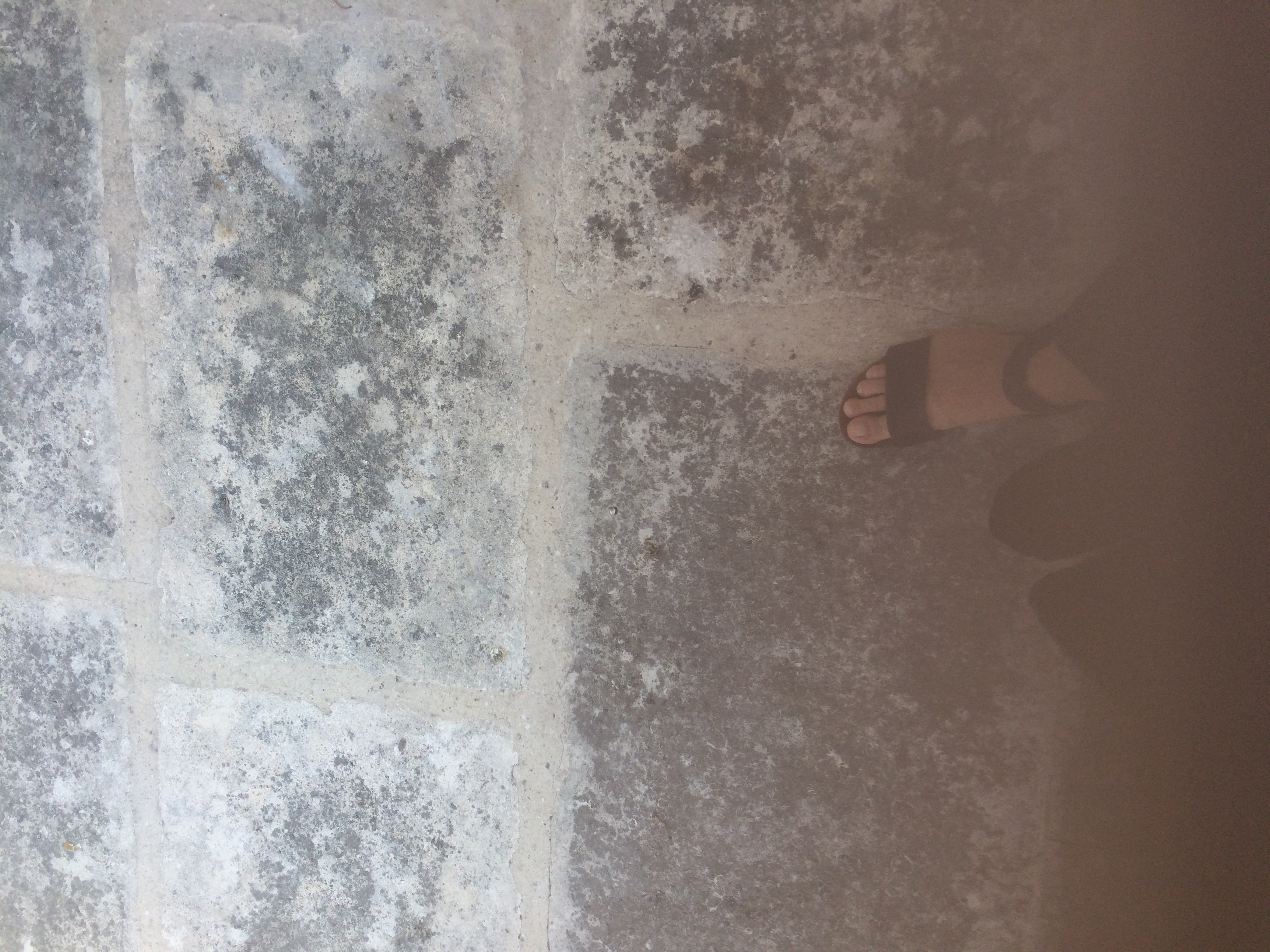 and-Le pied de Van Gogh