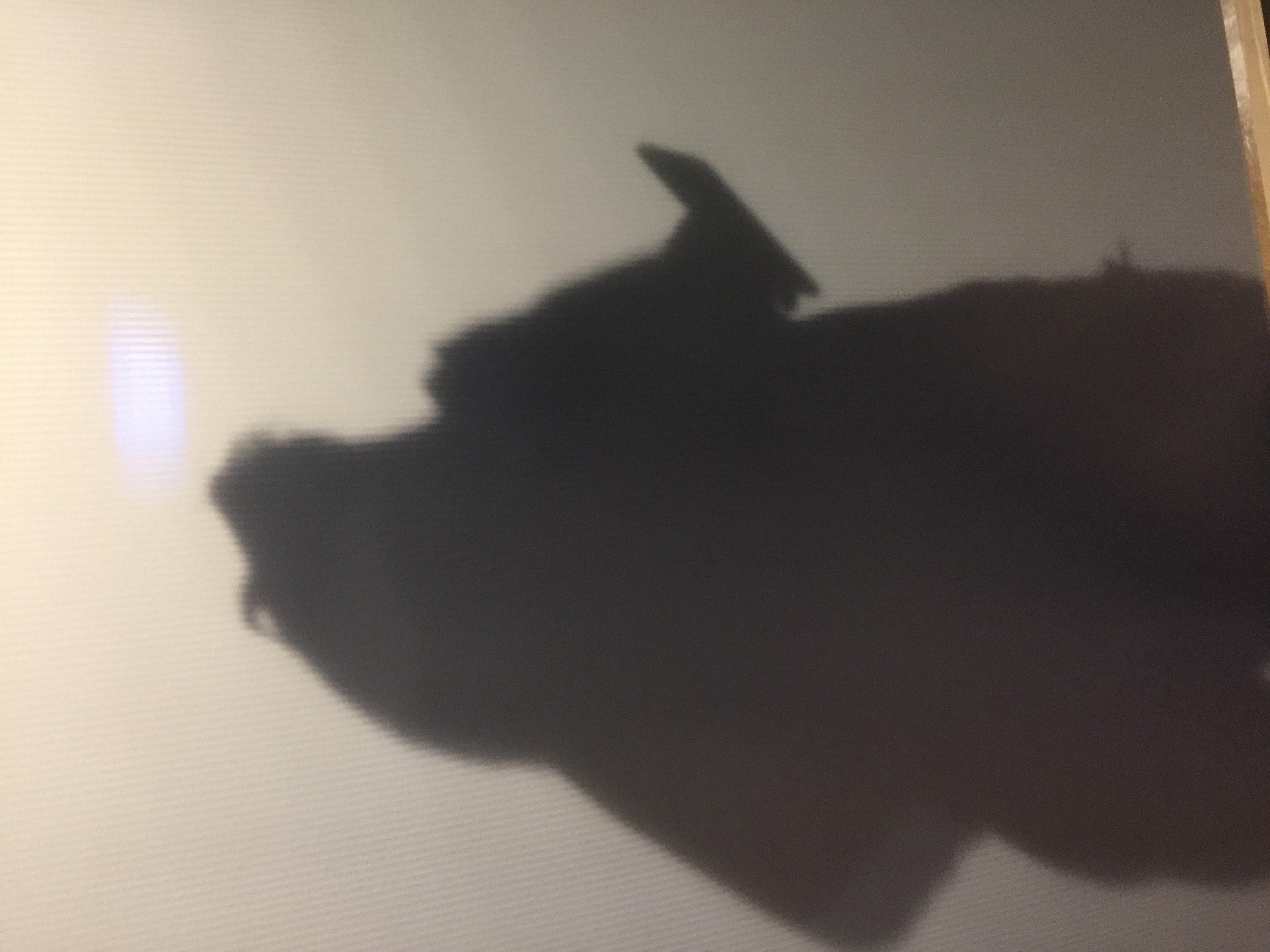 and-Un sacré Jeu de Paume