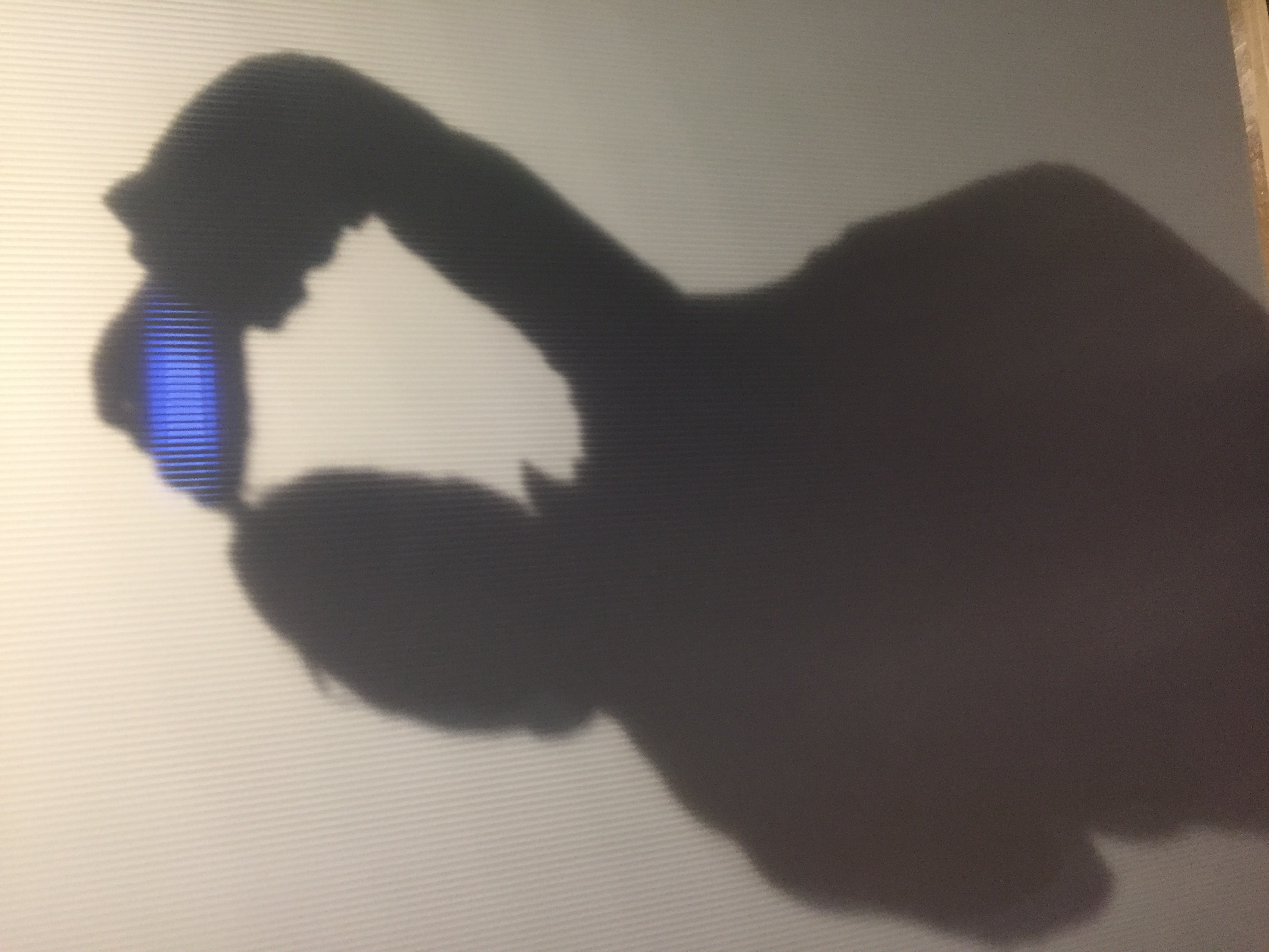 and-Un sacré Jeu de Paume