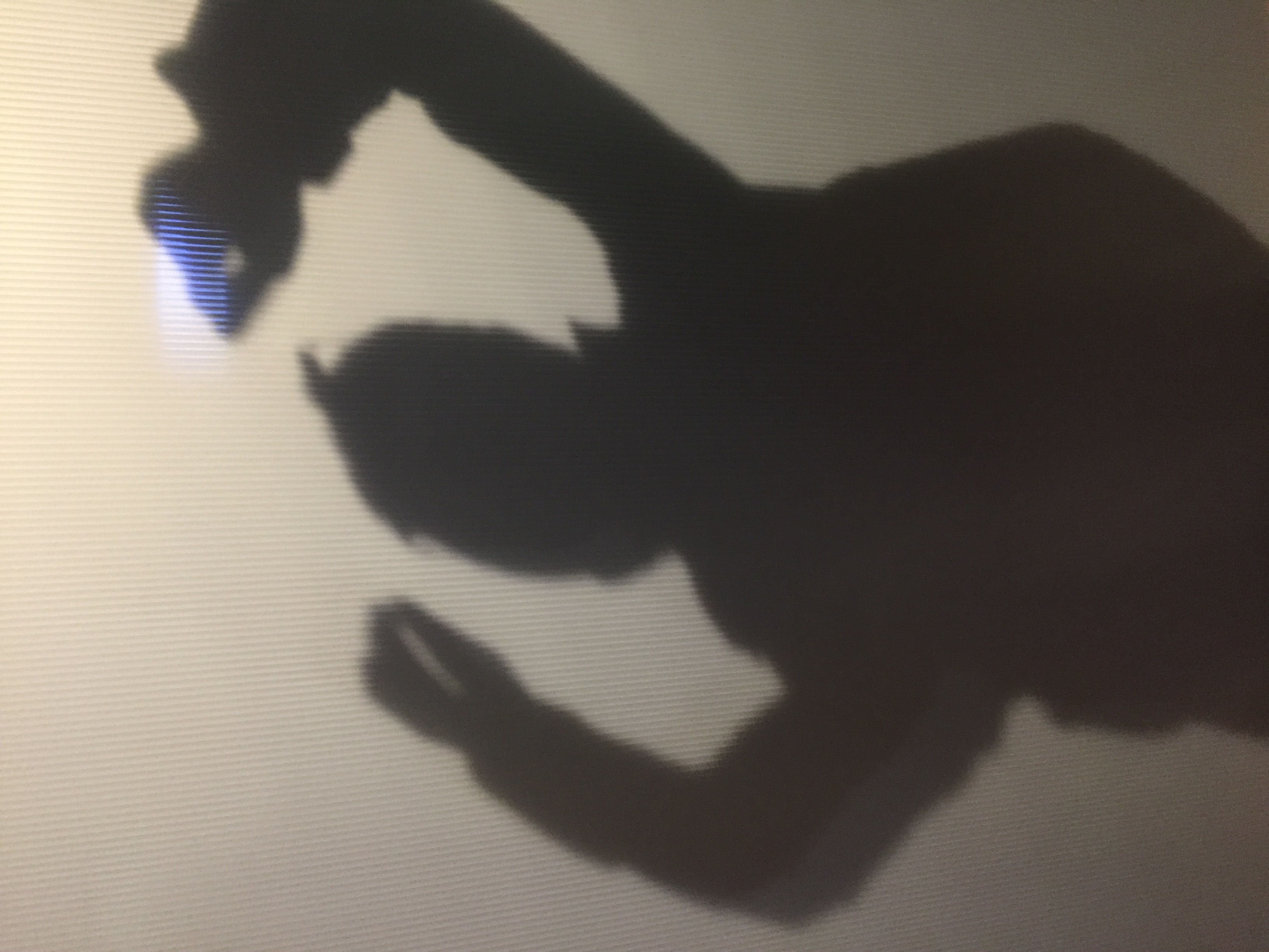 and-Un sacré Jeu de Paume