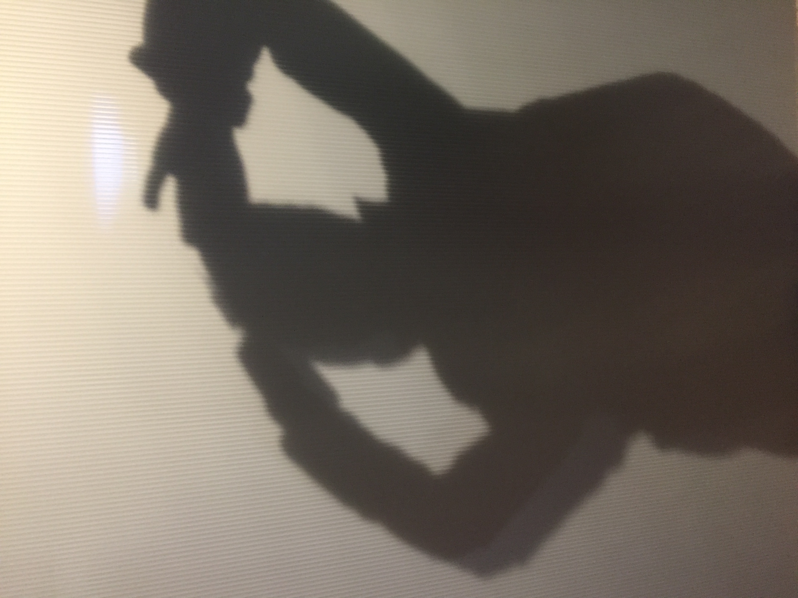 and-Un sacré Jeu de Paume