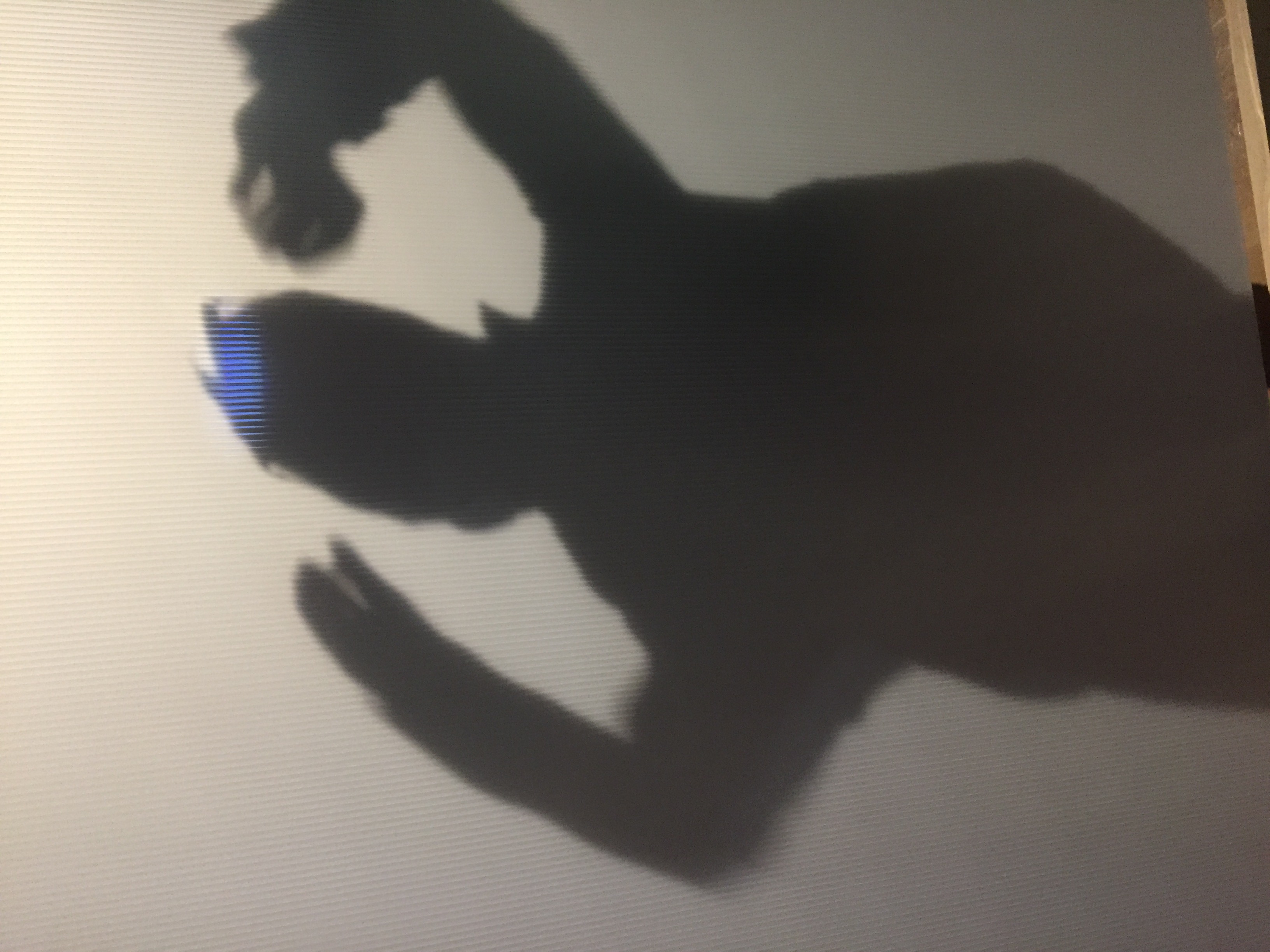 and-Un sacré Jeu de Paume